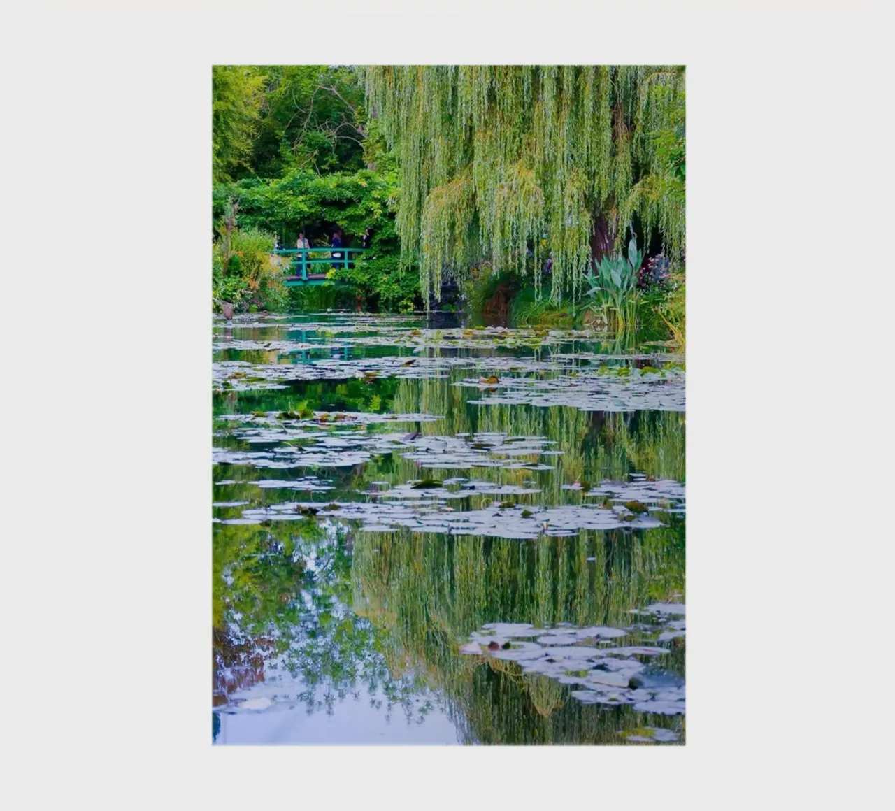 ninfee in una palude chiara claude monet diario da belong shop