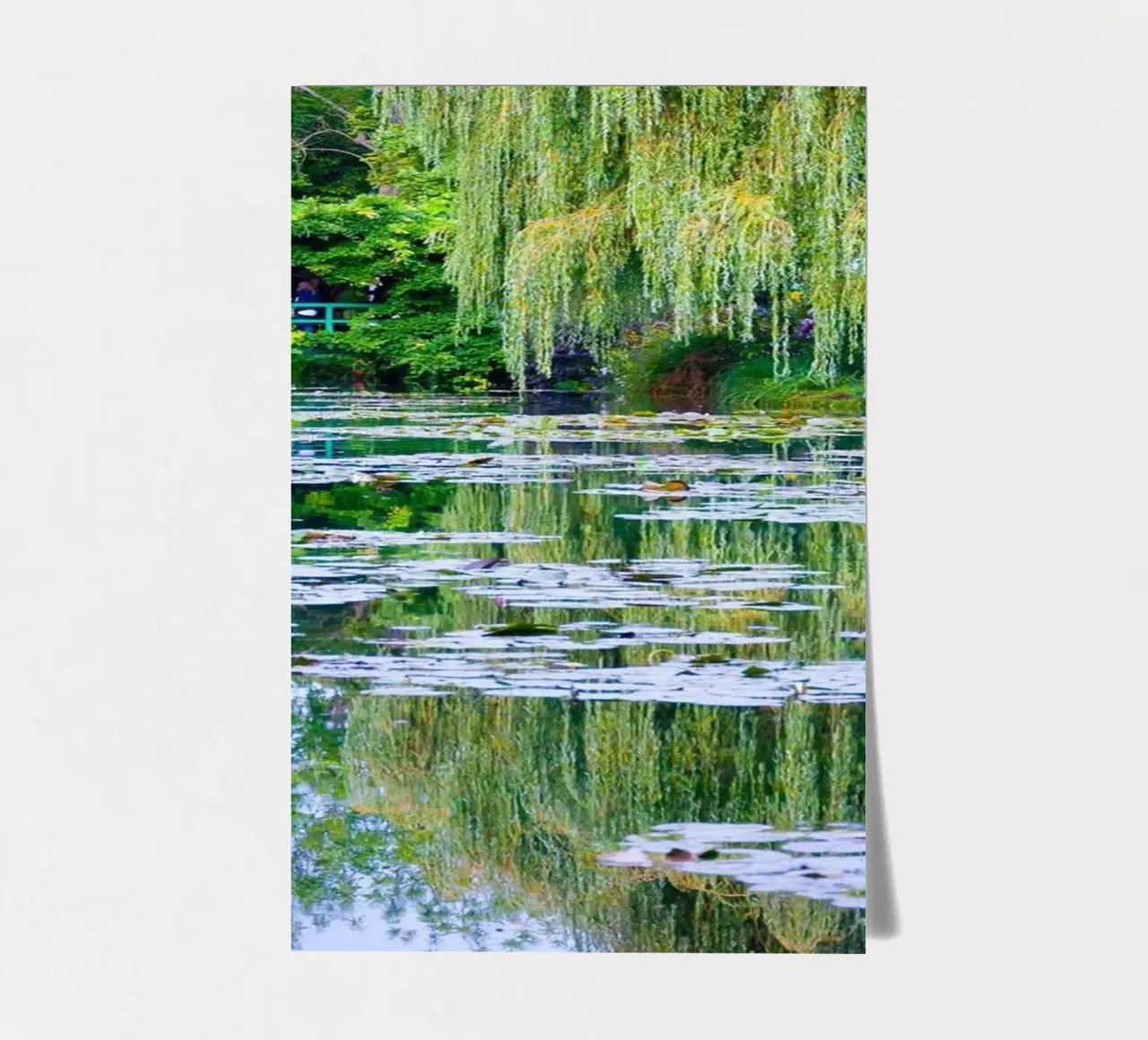 ninfee in una palude chiara claude monet foglio adesivo da belong shop