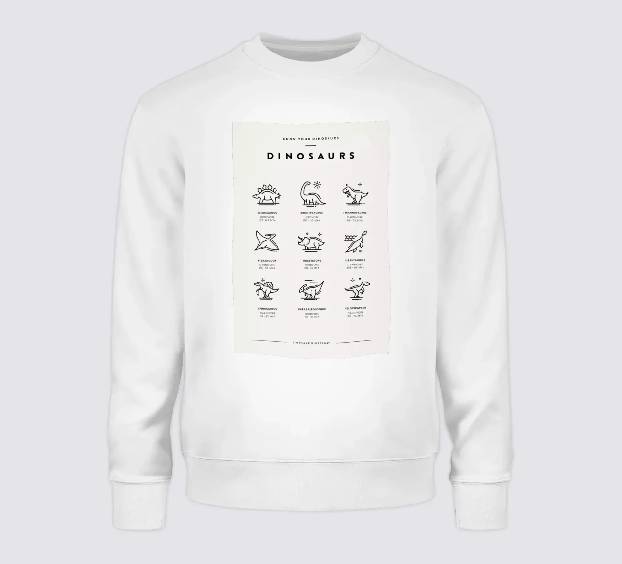 Dinosaurs Chart 2 felpa da daylight design studio