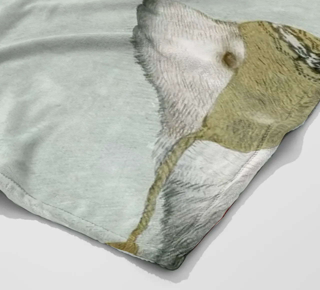 First winter Fleecedecke von Eric Fan