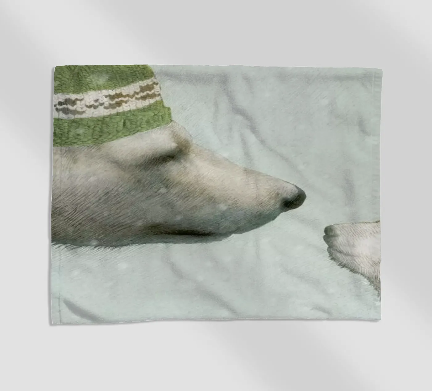 First winter strandhanddoek van Eric Fan