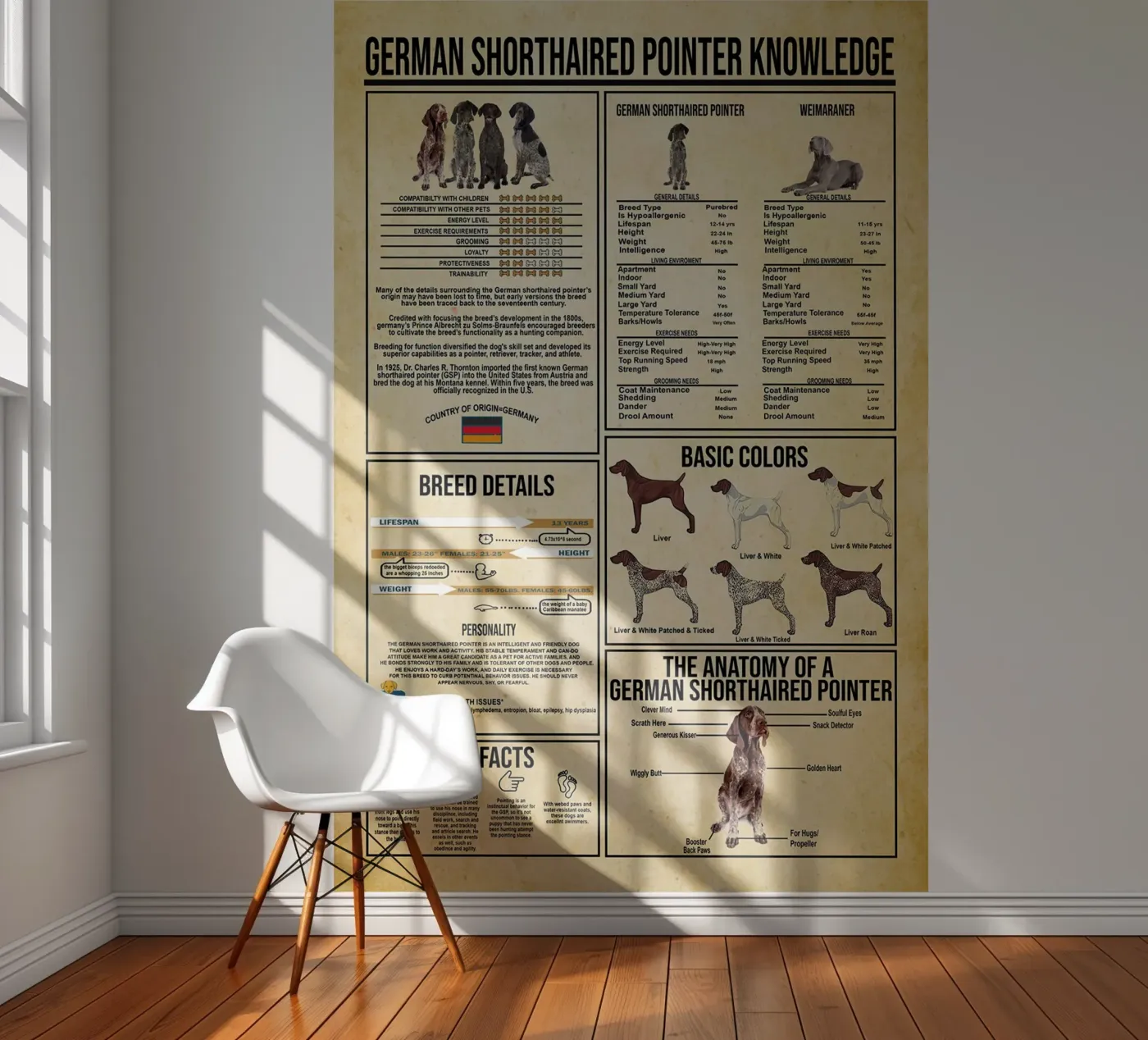 German Shorthaired Pointer Knowledge fotobehang van Maritiknowled