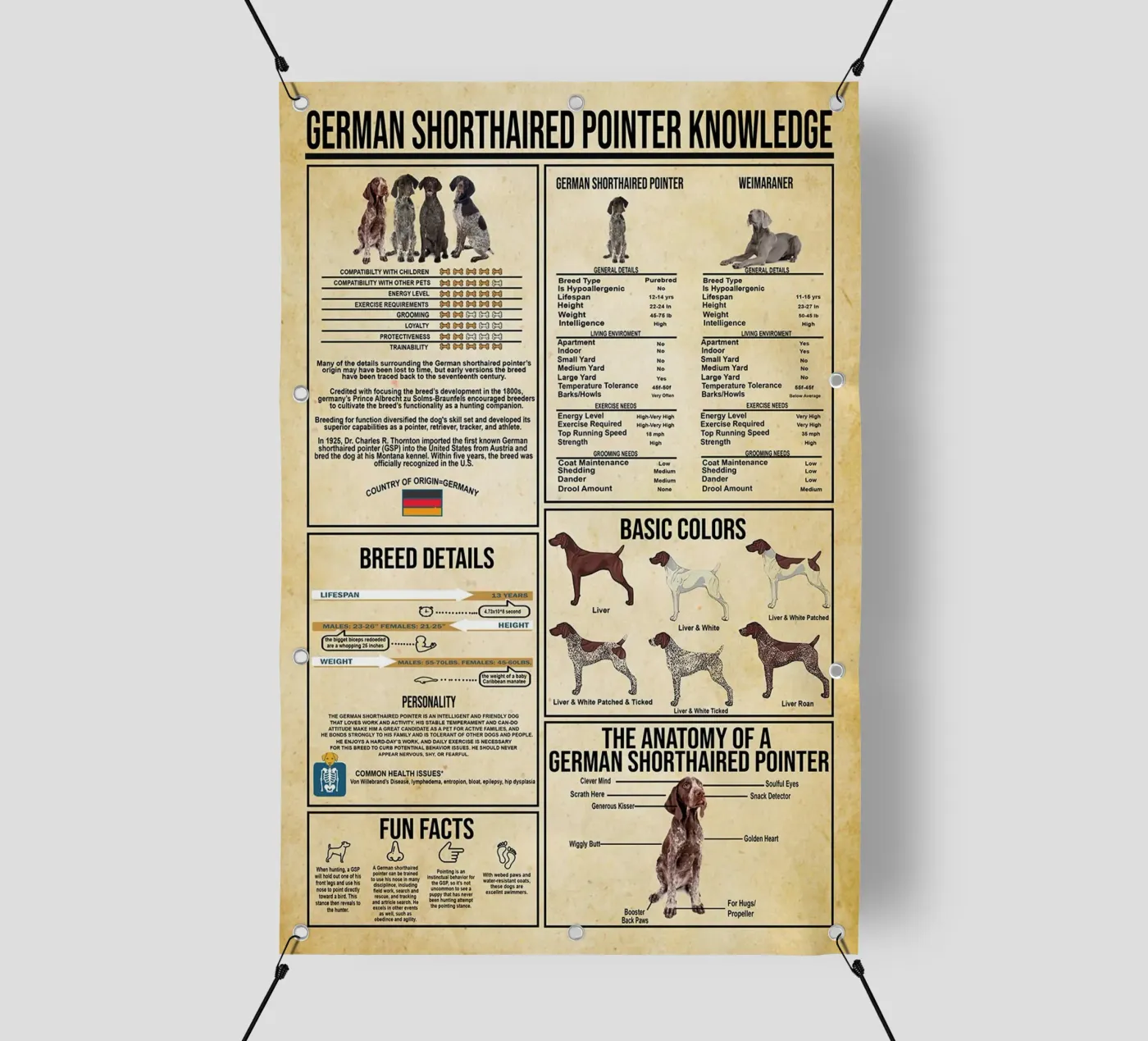 German Shorthaired Pointer Knowledge pvc cover by Maritiknowled