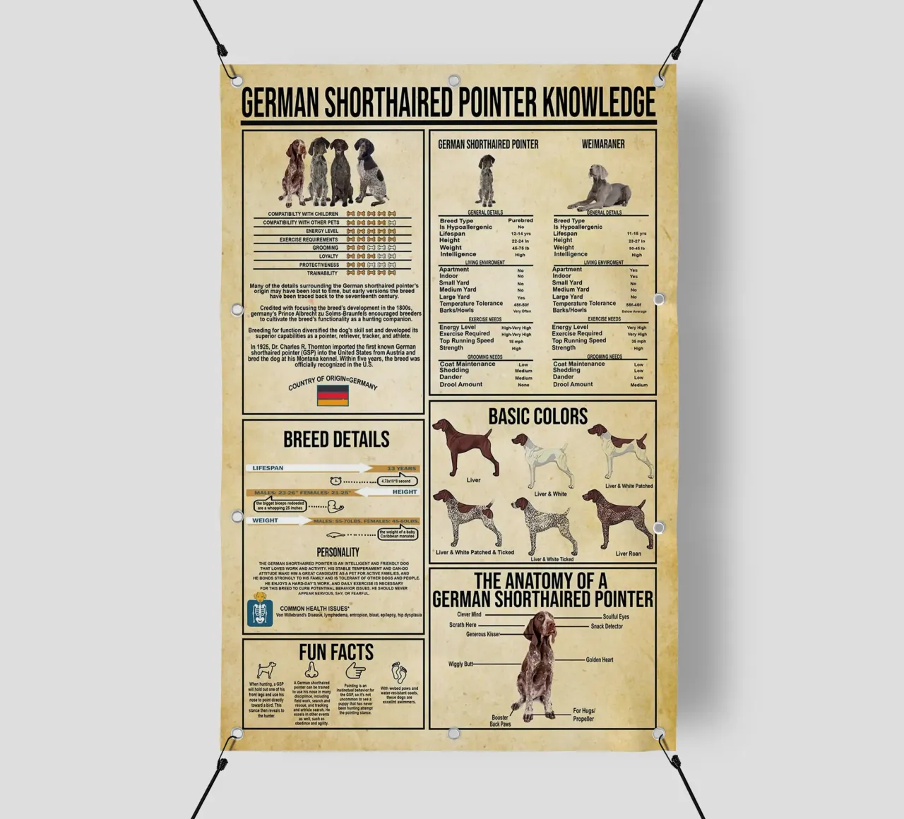 Conoscenza del Pointer Tedesco a pelo corto telo in pvc da Maritiknowled