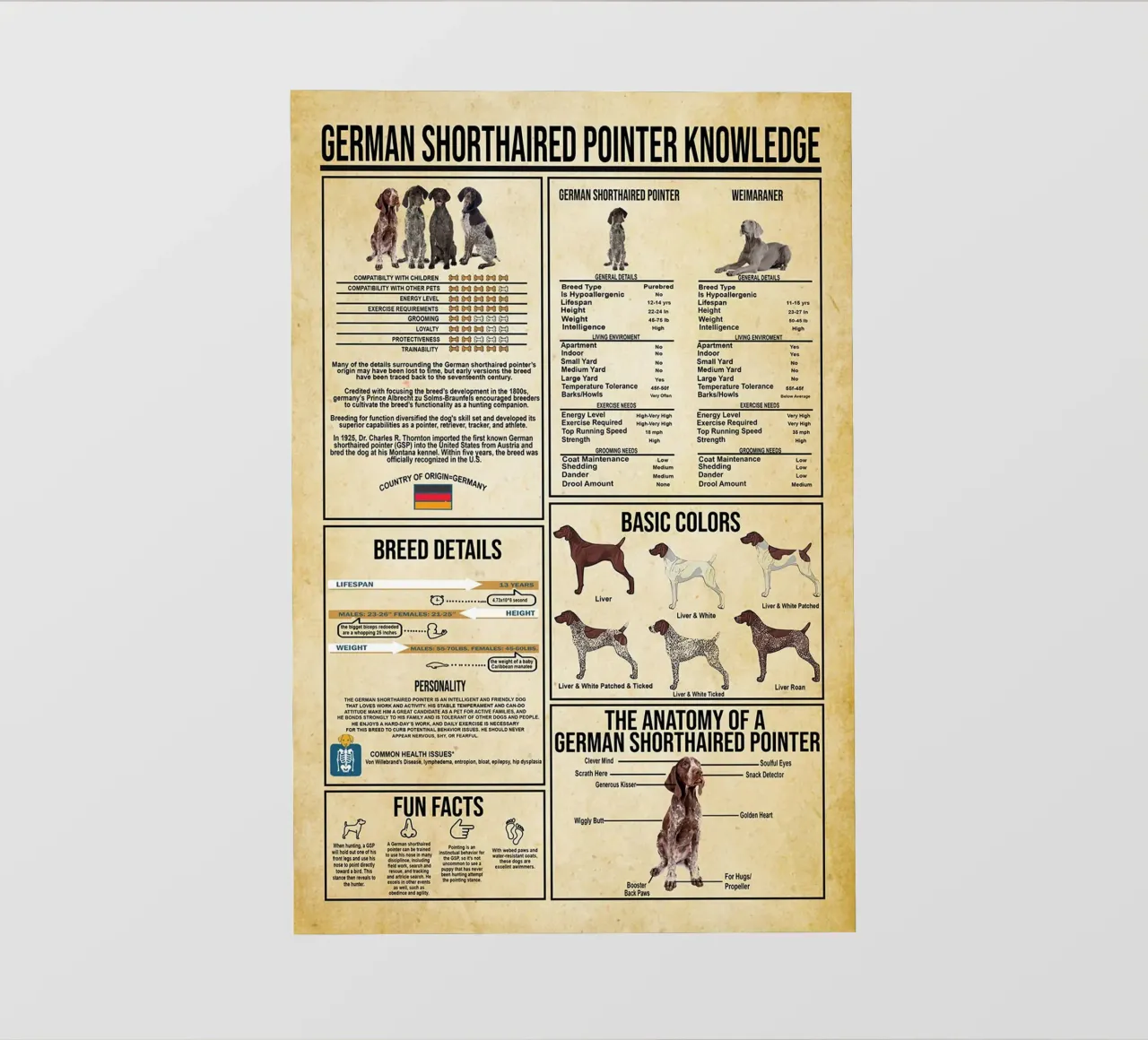 Conoscenza del Pointer Tedesco a pelo corto telo in pvc da Maritiknowled