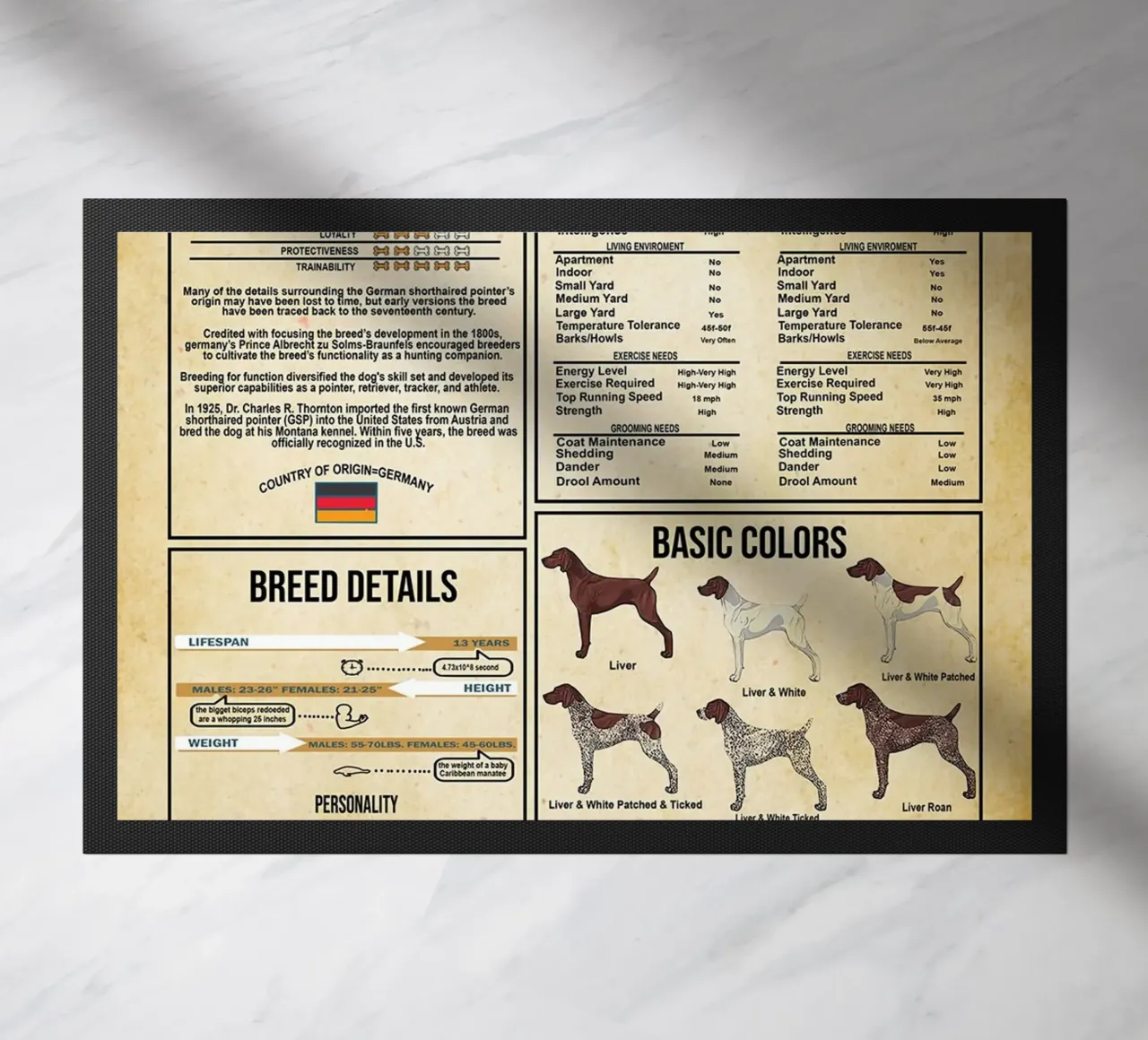 Conoscenza del Pointer Tedesco a pelo corto zerbino da Maritiknowled