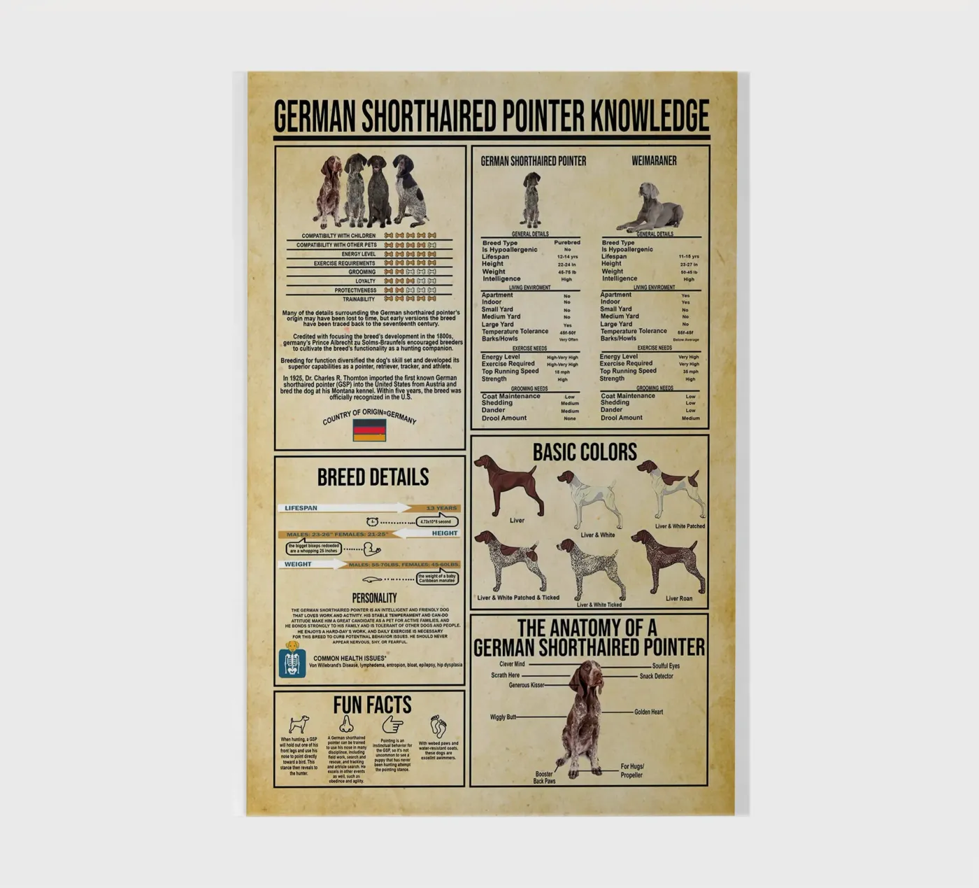 German Shorthaired Pointer Knowledge notebook by Maritiknowled