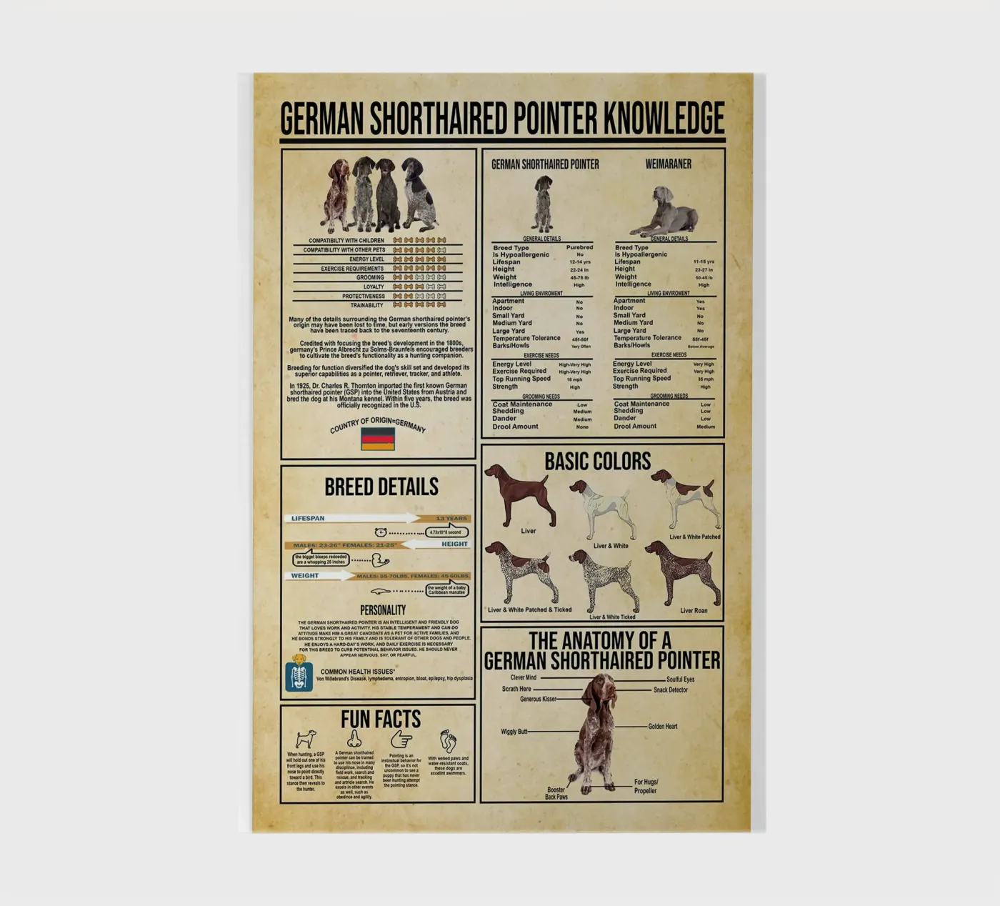 German Shorthaired Pointer Knowledge notebook by Maritiknowled