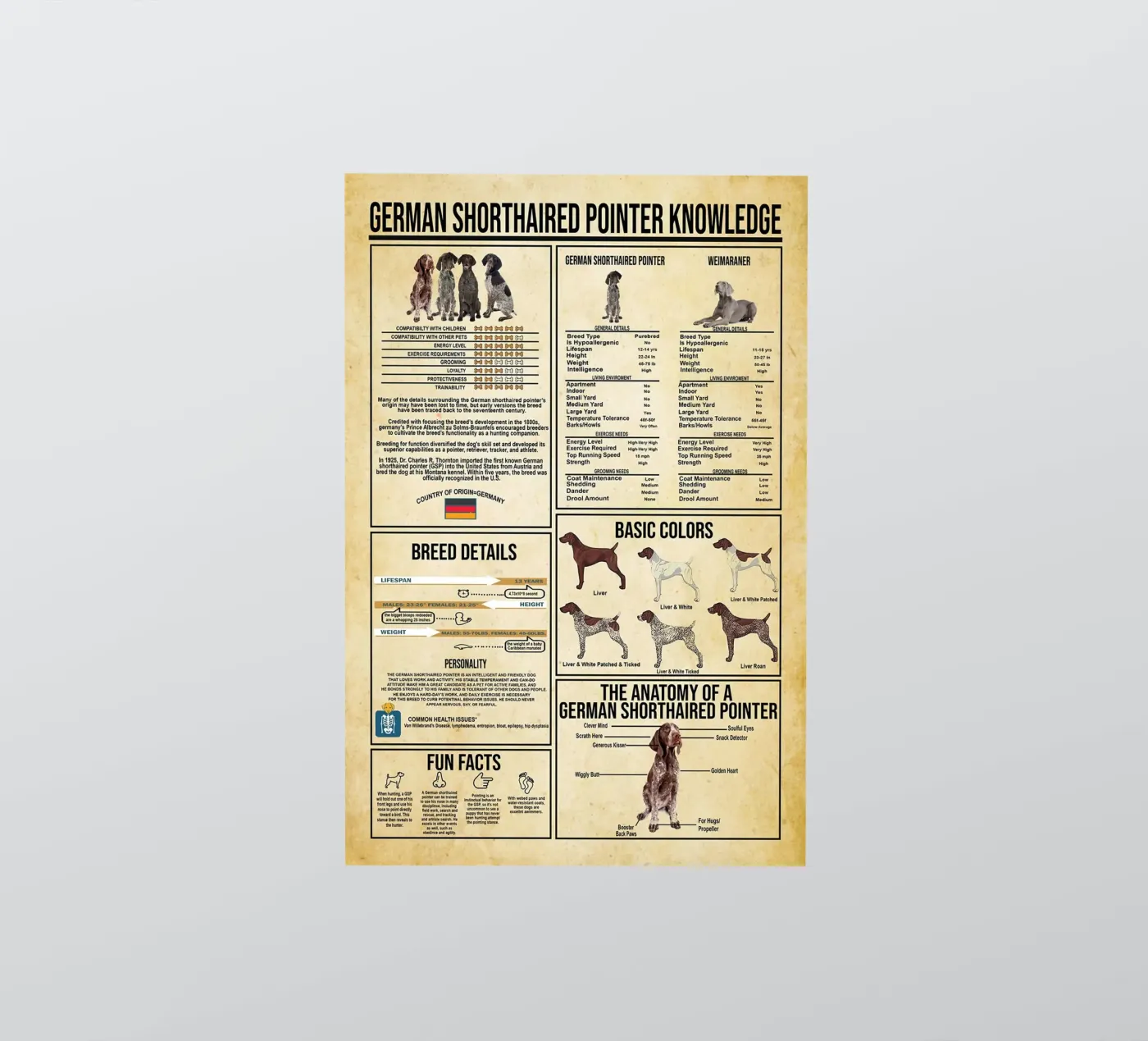 German Shorthaired Pointer Knowledge Sticker von Maritiknowled