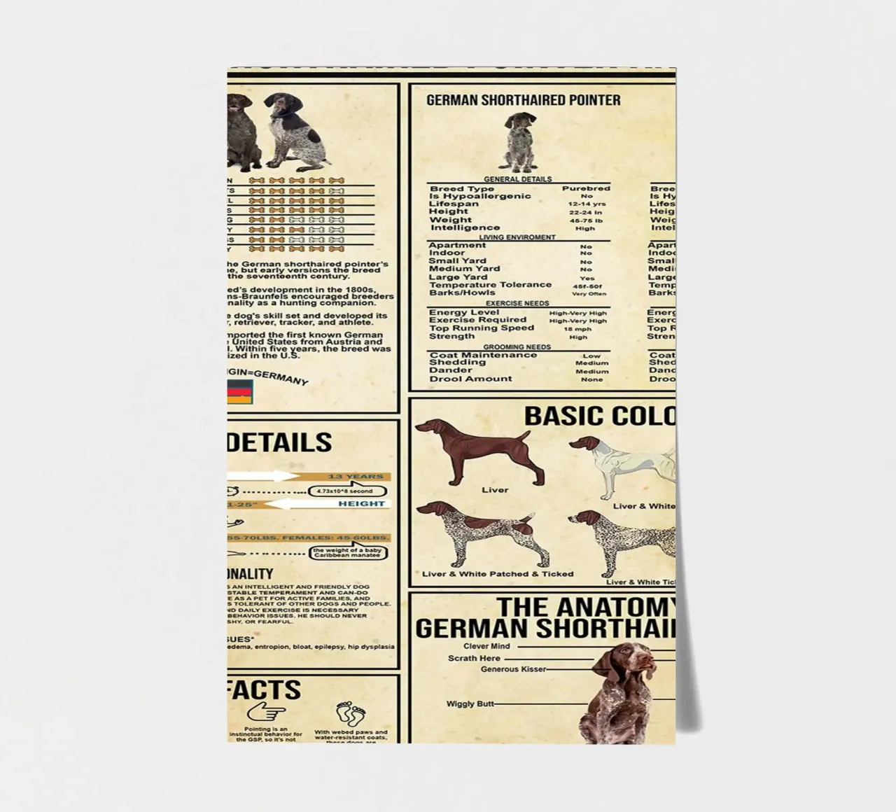 German Shorthaired Pointer Knowledge sticker sheet by Maritiknowled