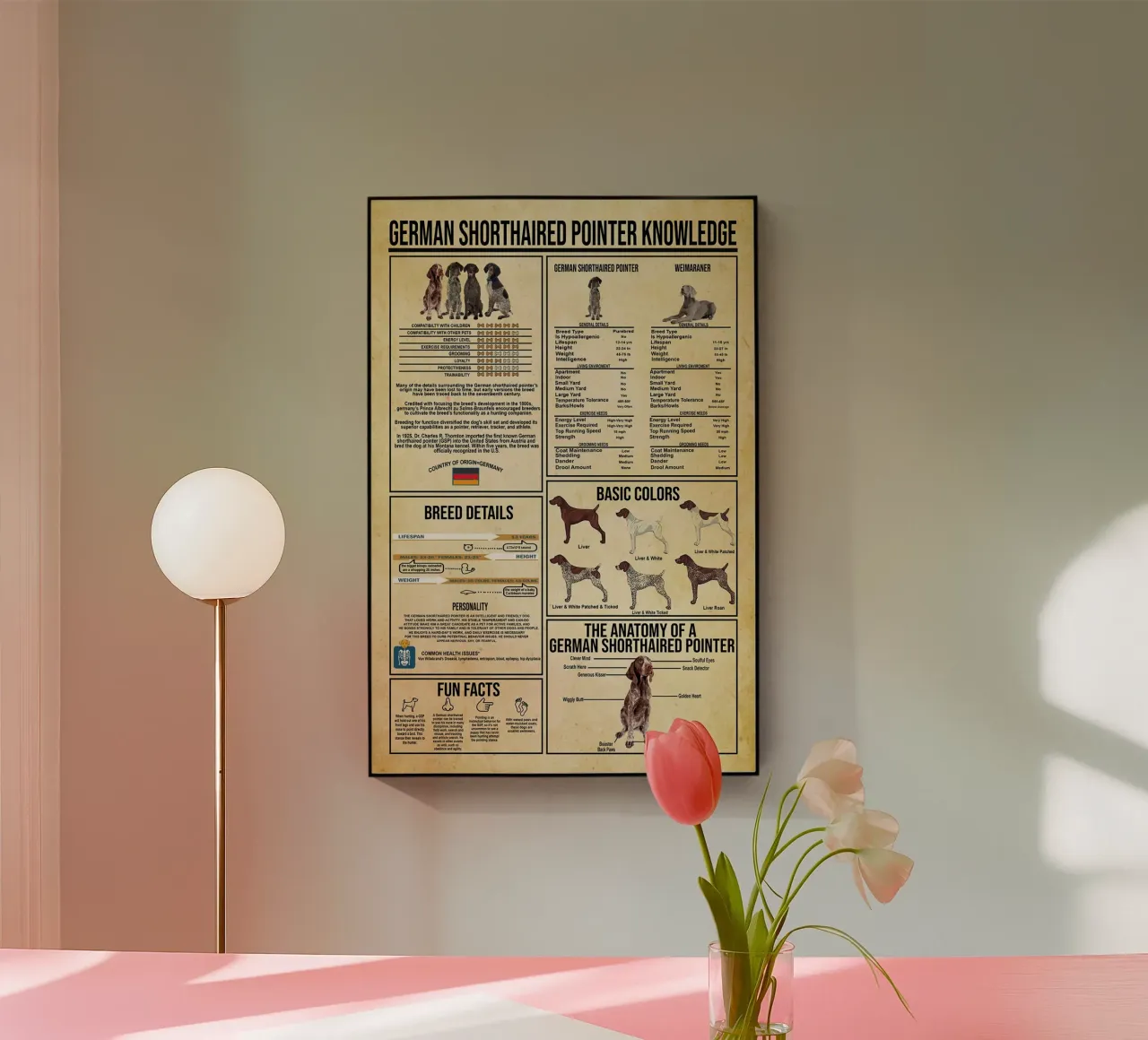 Pointer allemand à poil court Connaissances plexiglas de Maritiknowled