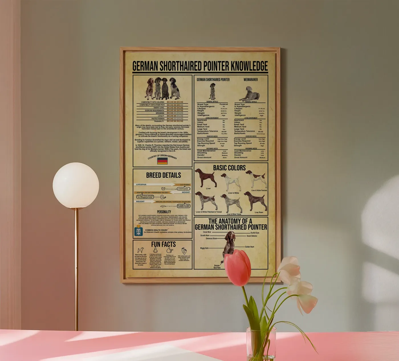 Conoscenza del Pointer Tedesco a pelo corto pannello forex da Maritiknowled