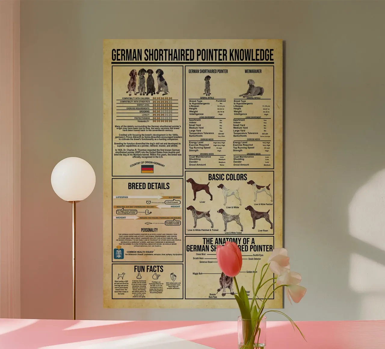 German Shorthaired Pointer Knowledge forex plate by Maritiknowled