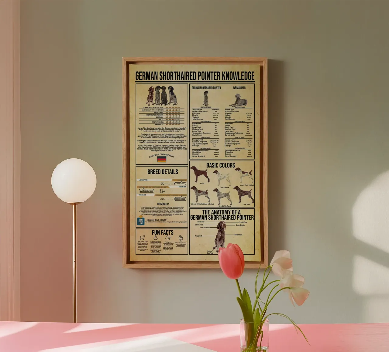 German Shorthaired Pointer Knowledge canvas by Maritiknowled