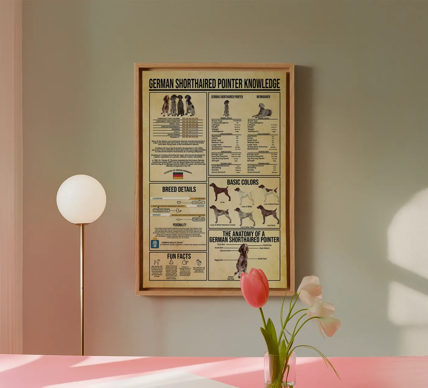German Shorthaired Pointer Knowledge canvas by Maritiknowled