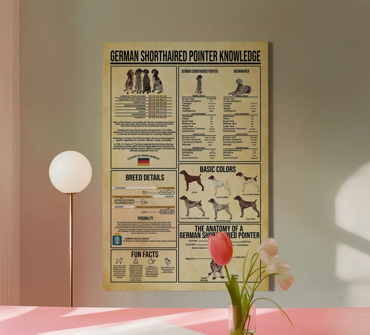 German Shorthaired Pointer Knowledge canvas by Maritiknowled