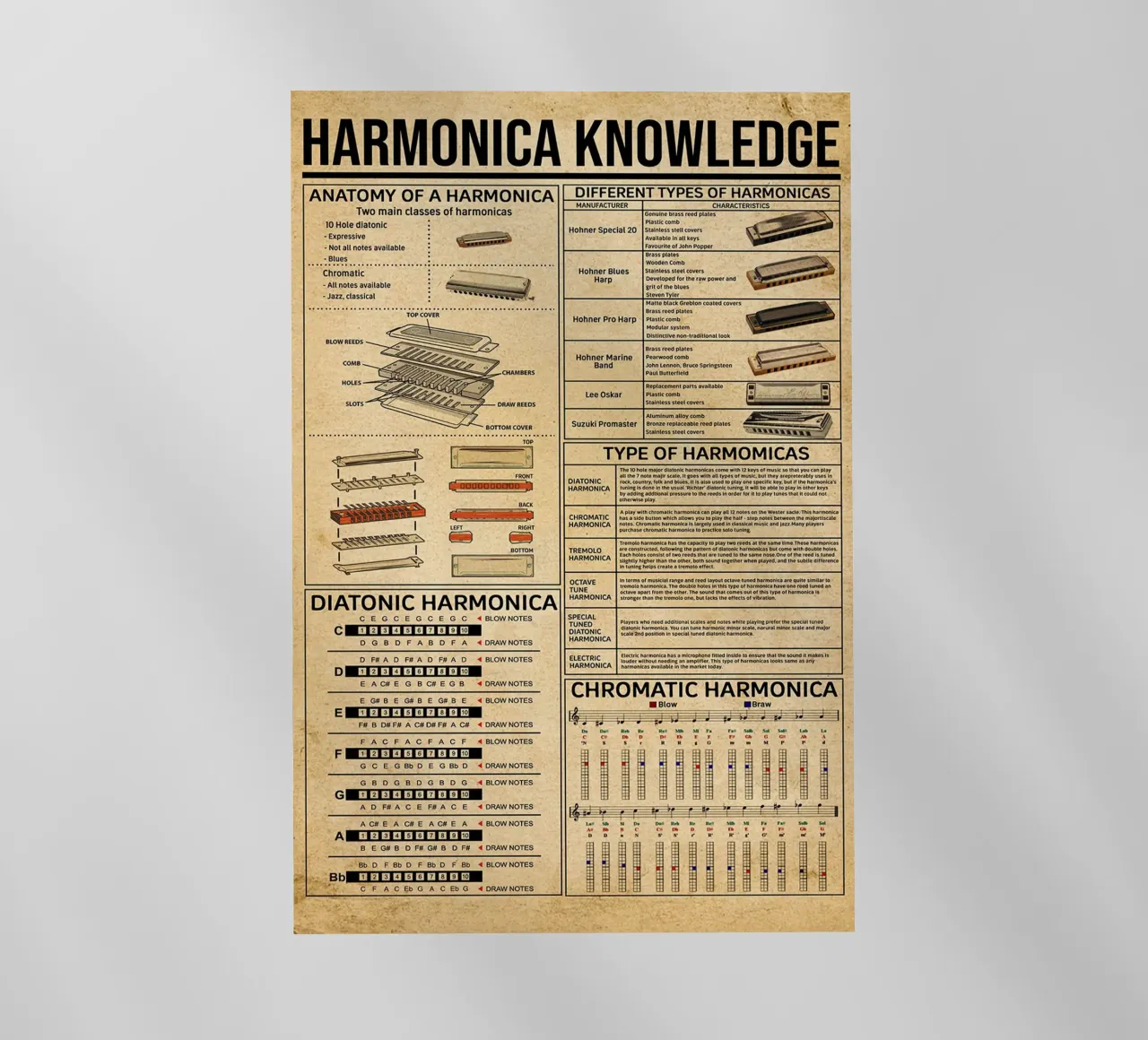 Harmonica Knowledge Poster pellicola backlit da Maritiknowled