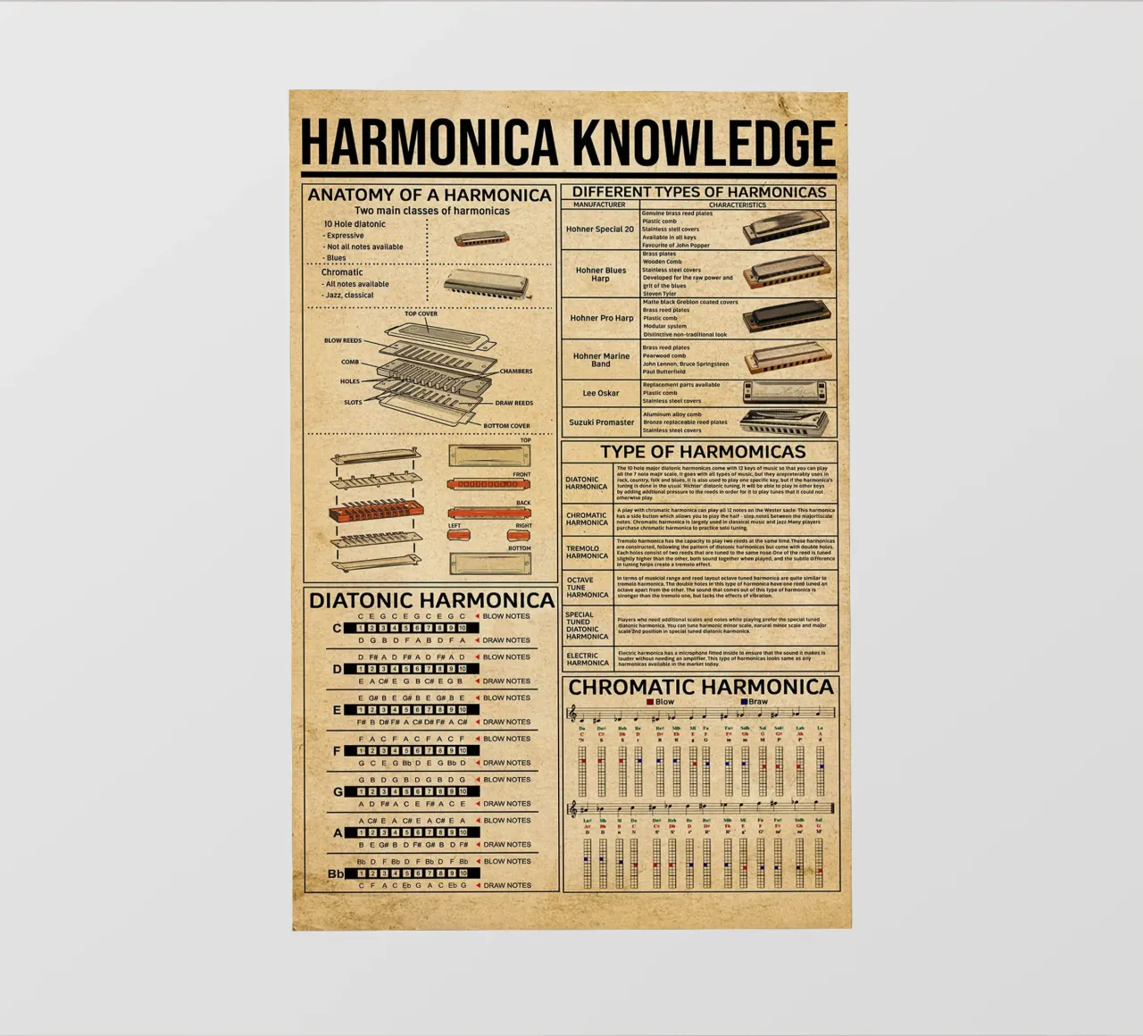 Harmonica Knowledge Poster pellicola backlit da Maritiknowled