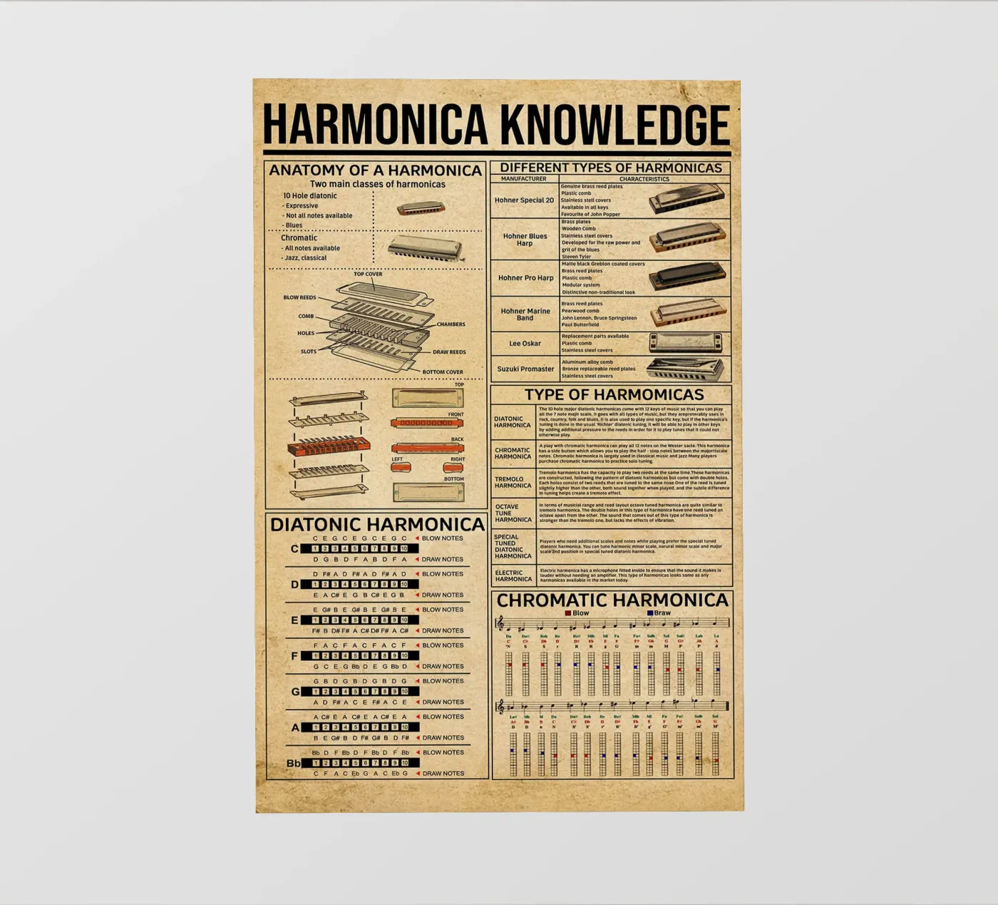 Poster sulla conoscenza dell'armonica pellicola backlit da Maritiknowled
