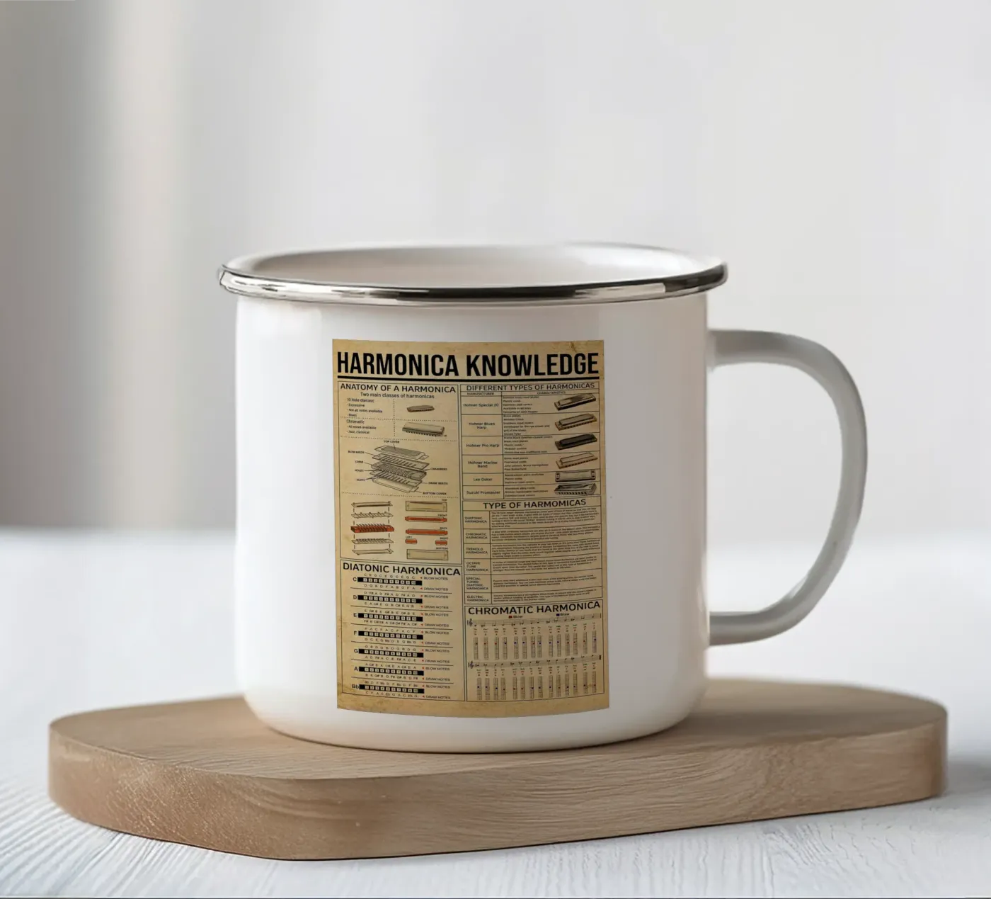 Harmonica Knowledge Poster emaille mok van Maritiknowled