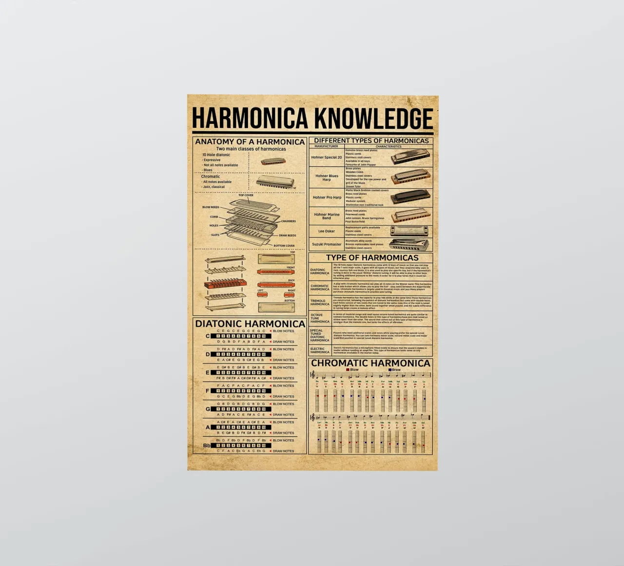 Harmonica Knowledge Poster sticker by Maritiknowled