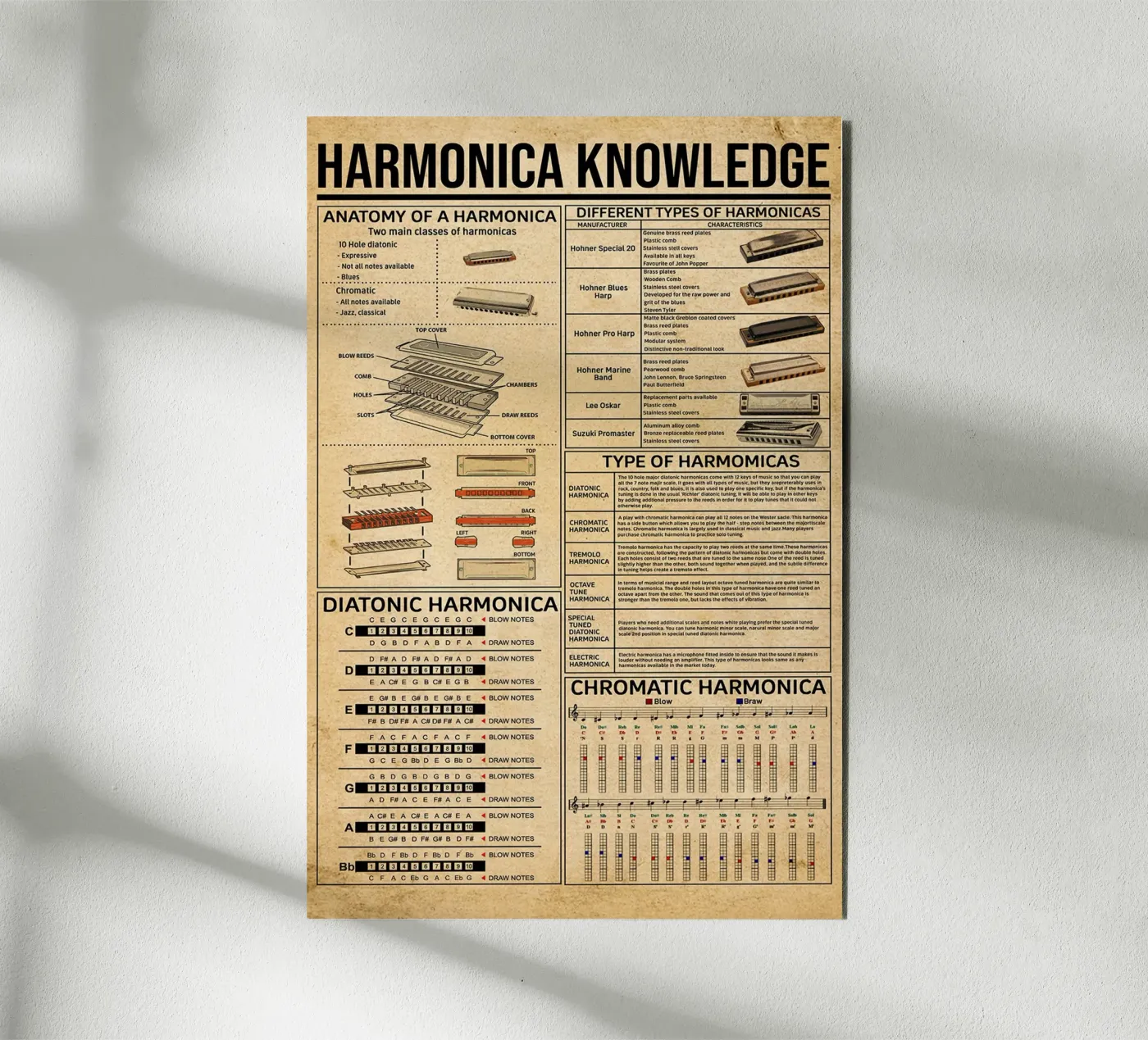 Harmonica Knowledge Poster alluminio dibond da Maritiknowled