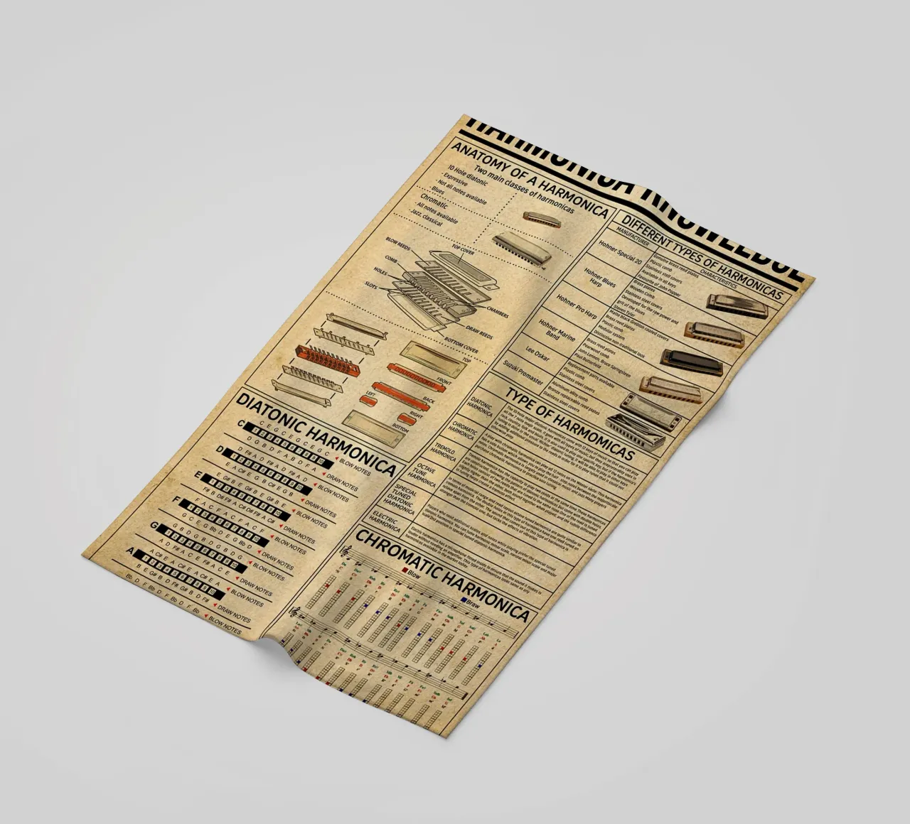 Harmonica Knowledge Poster telo mare da Maritiknowled