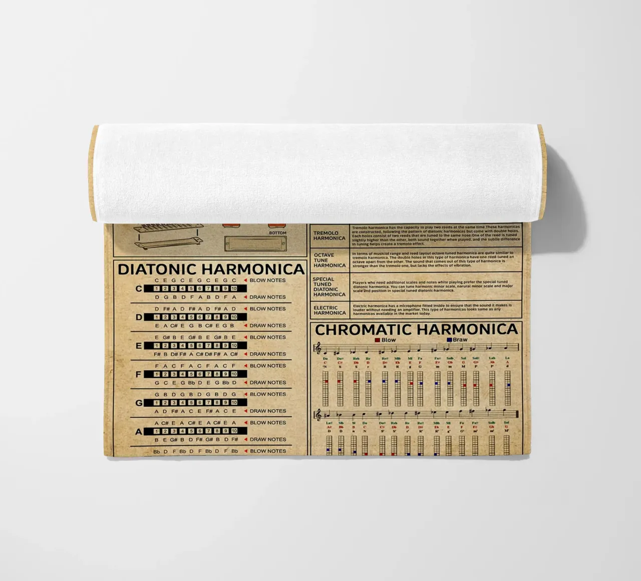 Harmonica Knowledge Poster telo mare da Maritiknowled