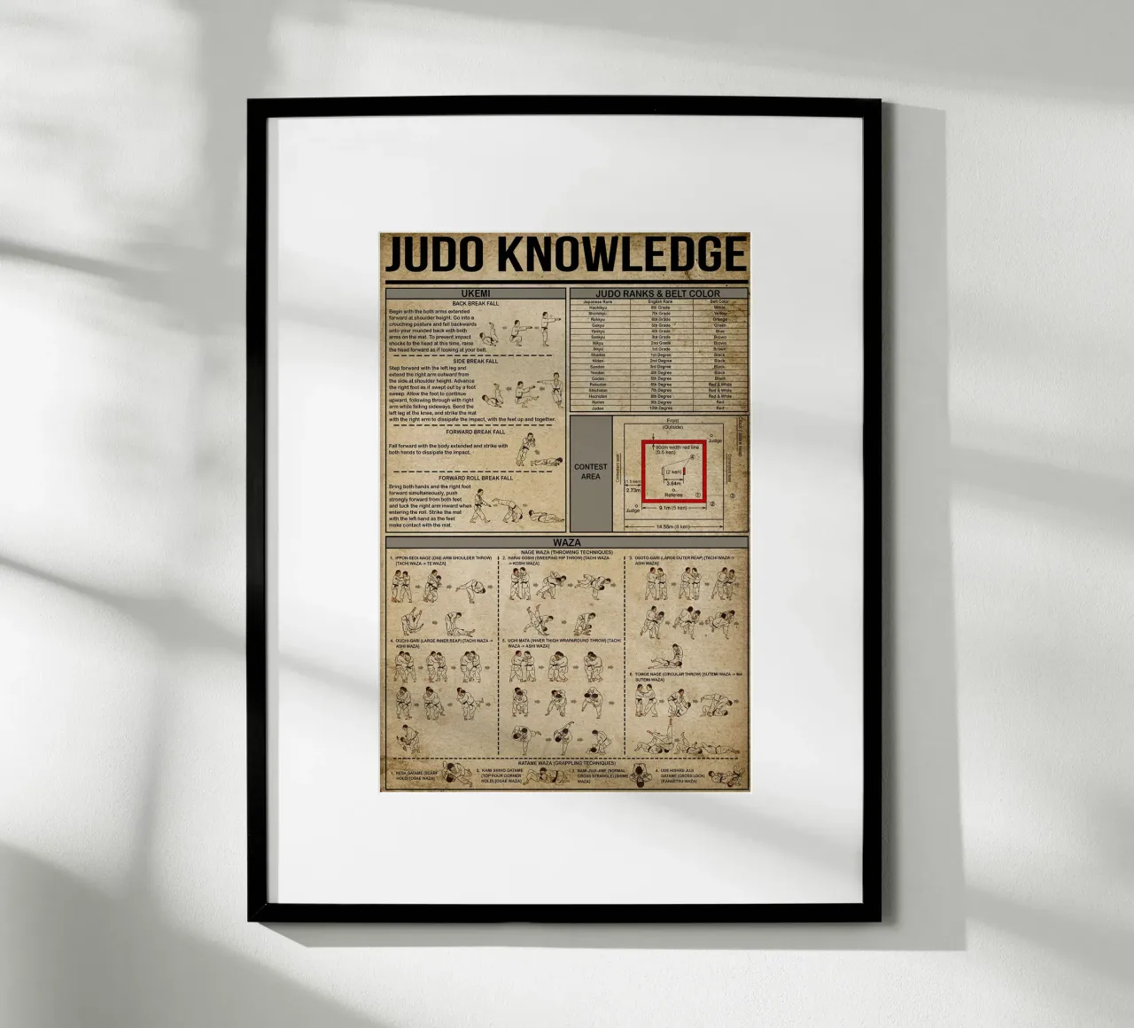 Poster sulla conoscenza del judo poster con telaio in plastica da Maritiknowled