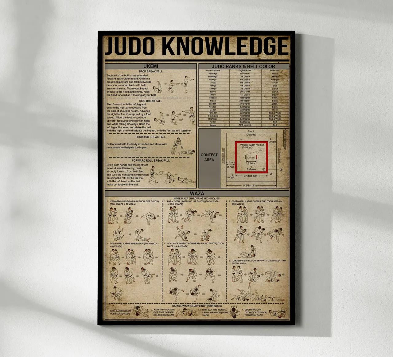 Poster sulla conoscenza del judo poster con telaio in plastica da Maritiknowled
