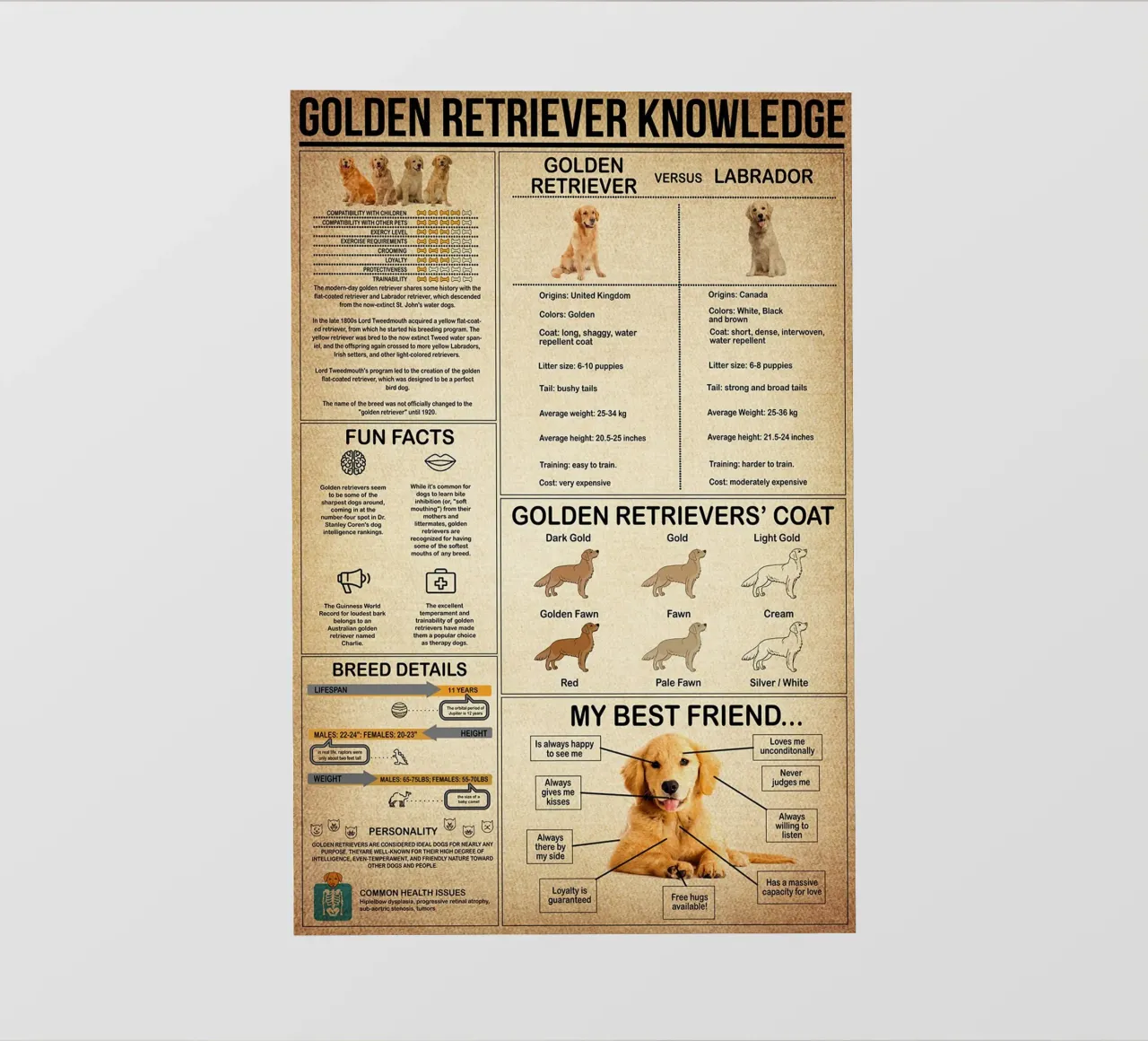 Golden Retriever Knowledge Poster pvc cover by Maritiknowled