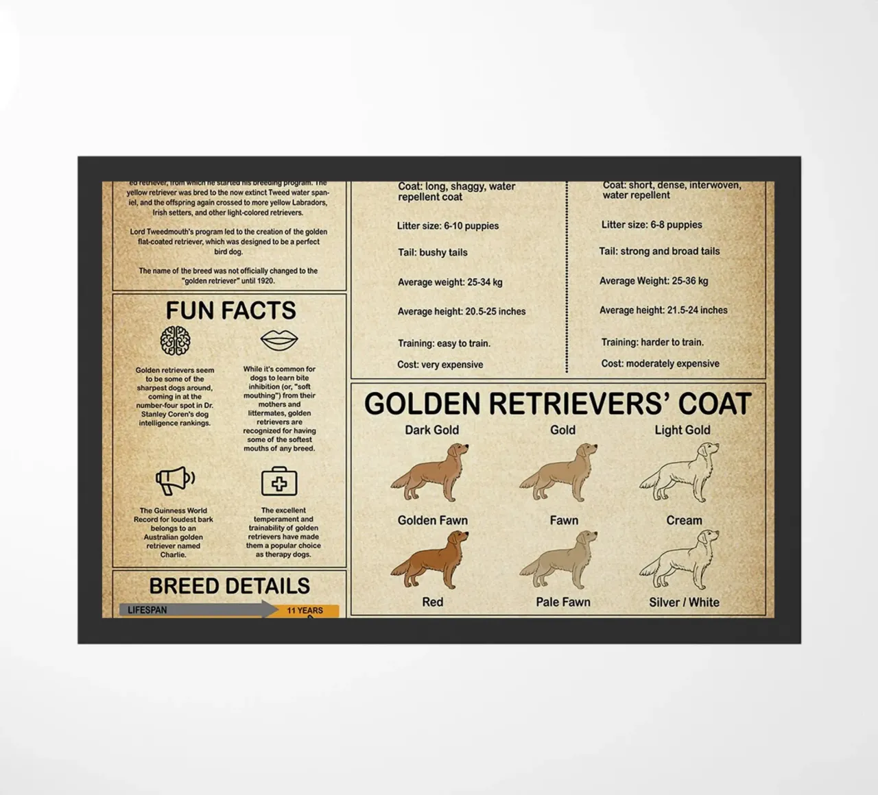 Poster sulla conoscenza del Golden Retriever zerbino da Maritiknowled