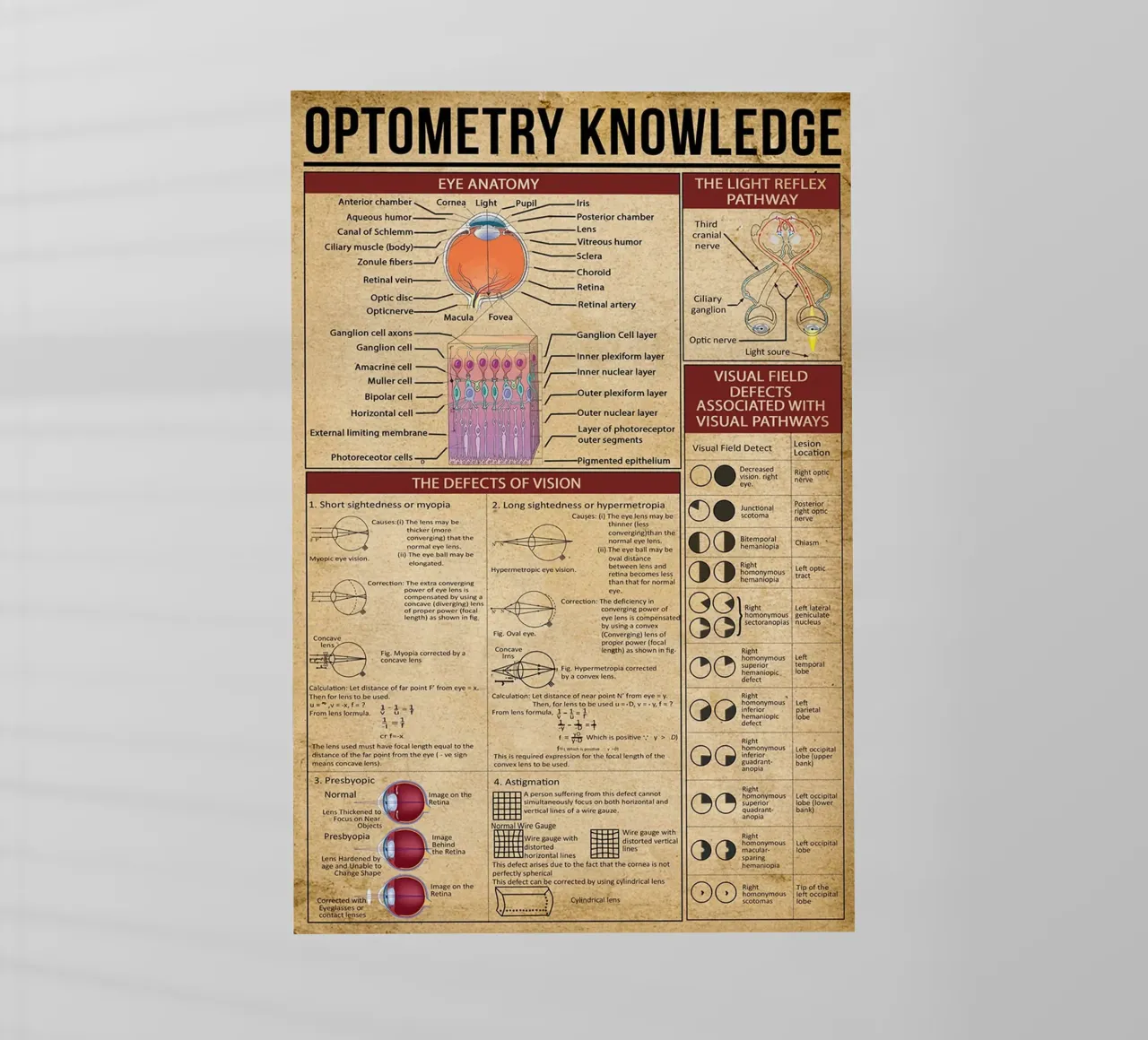 Optometrie Kennis Poster backlit folie van Maritiknowled