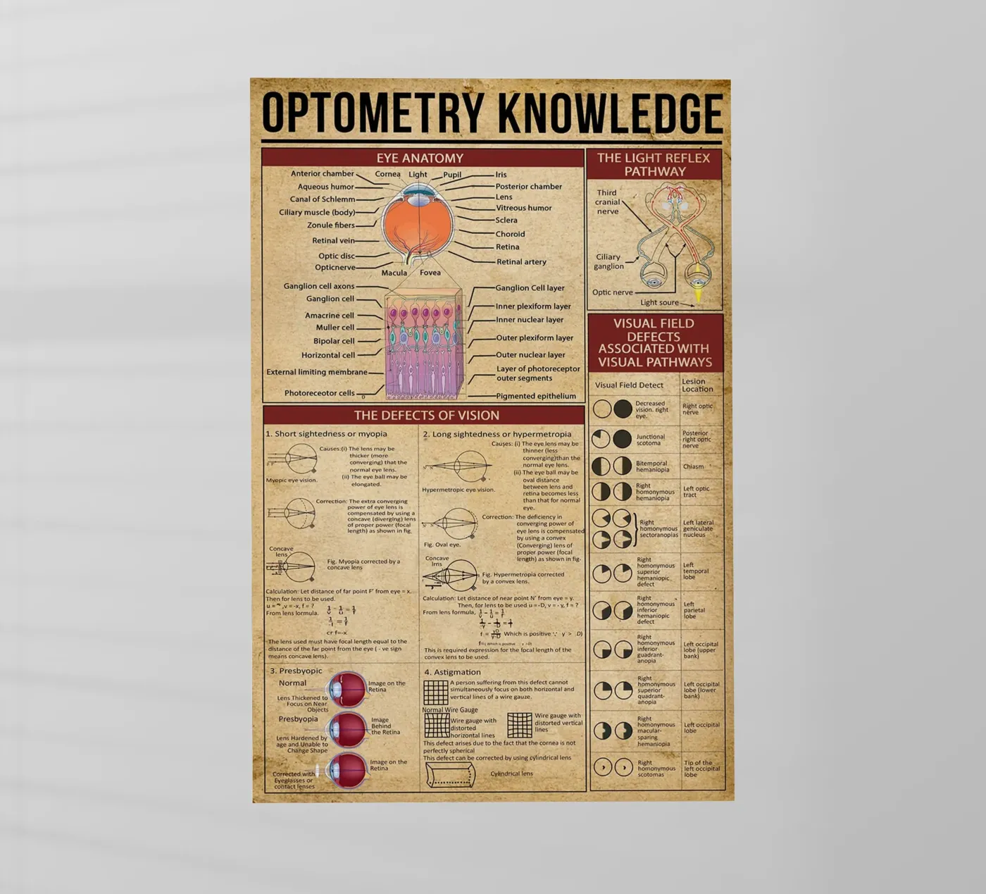 Optometry Knowledge Poster film rétro-éclairé de Maritiknowled