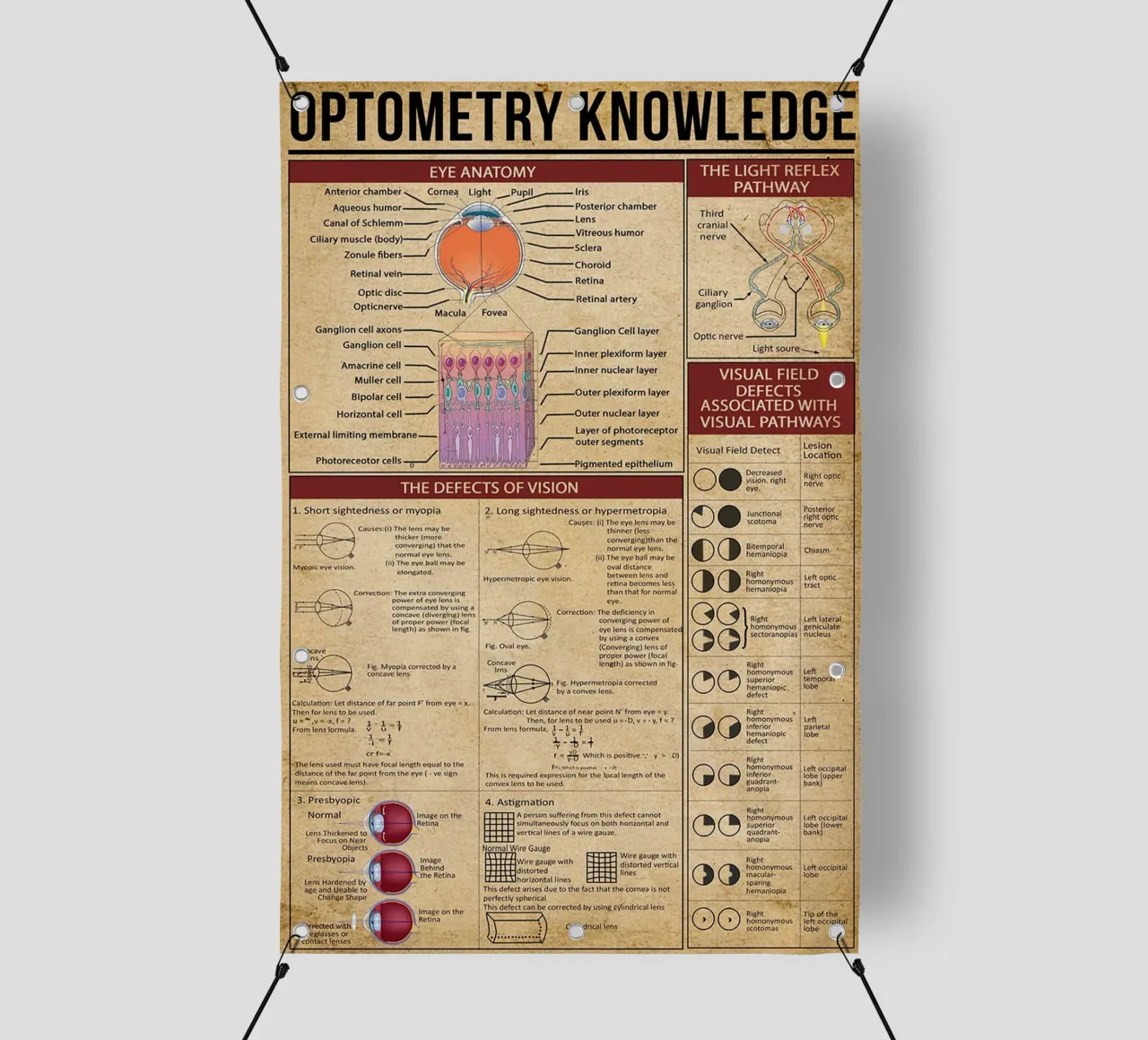 Optometry Knowledge Poster pvc cover by Maritiknowled