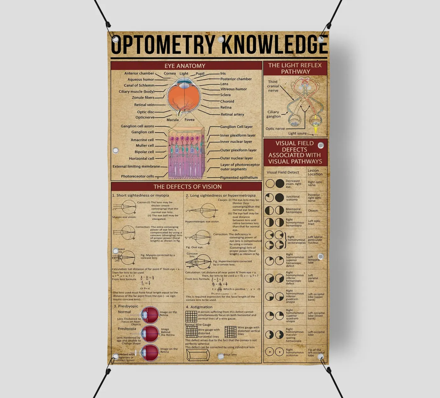 Optometry Knowledge Poster pvc cover by Maritiknowled