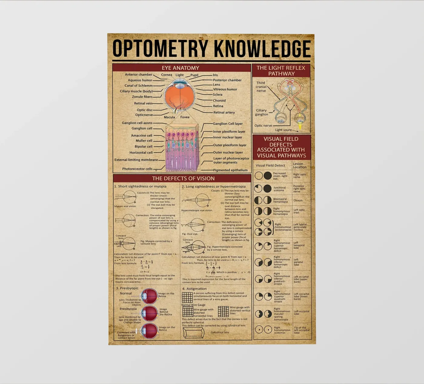 Optometry Knowledge Poster pvc cover by Maritiknowled