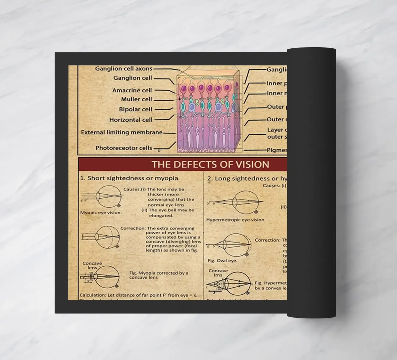 Optometry Knowledge Poster doormat by Maritiknowled