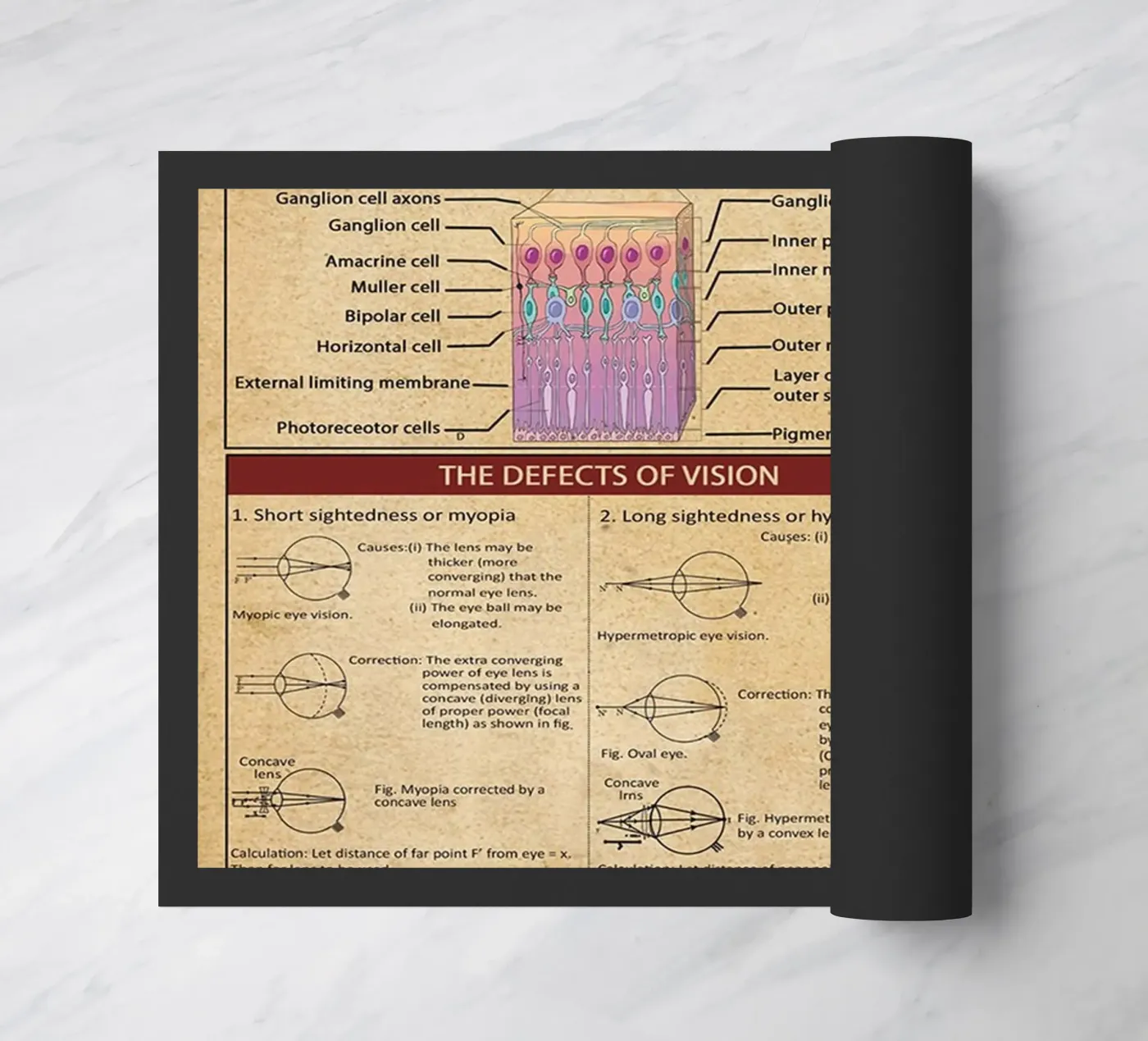 Optometrie-Wissensposter Fußmatte von Maritiknowled