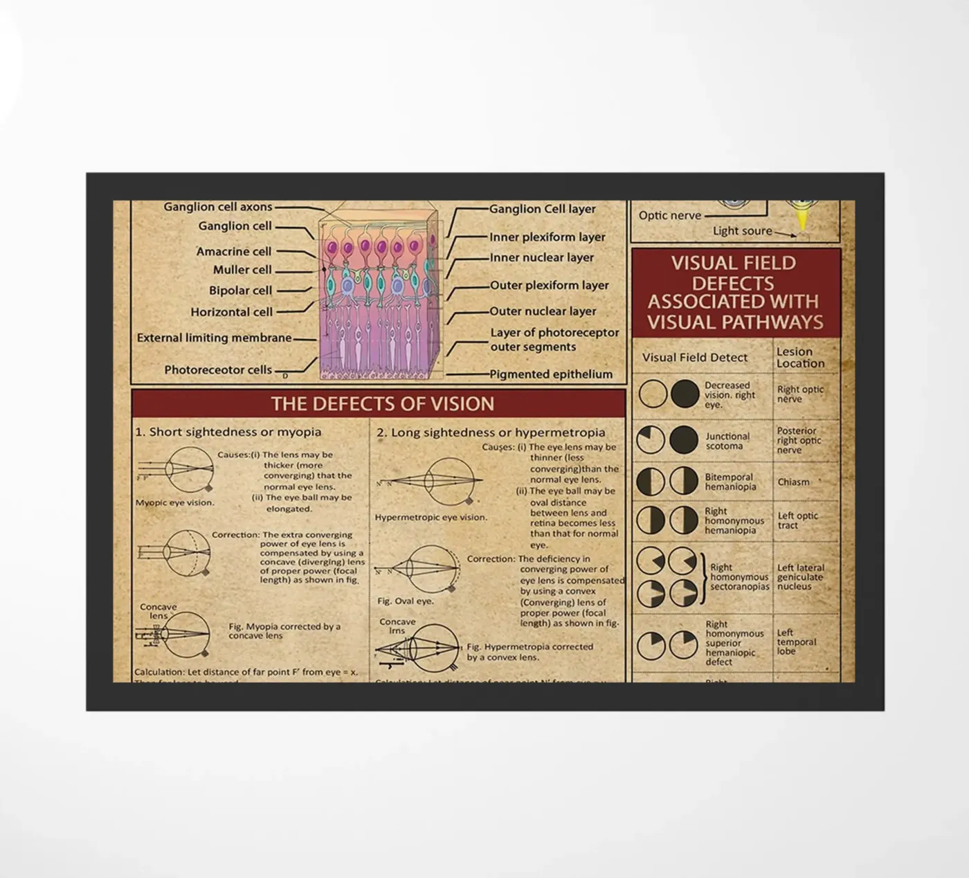 Optometrie-Wissensposter Fußmatte von Maritiknowled