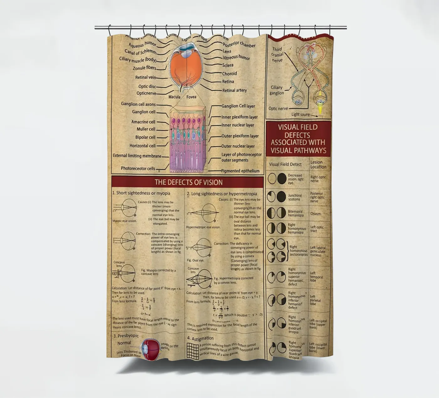 Optometry Knowledge Poster shower curtain by Maritiknowled