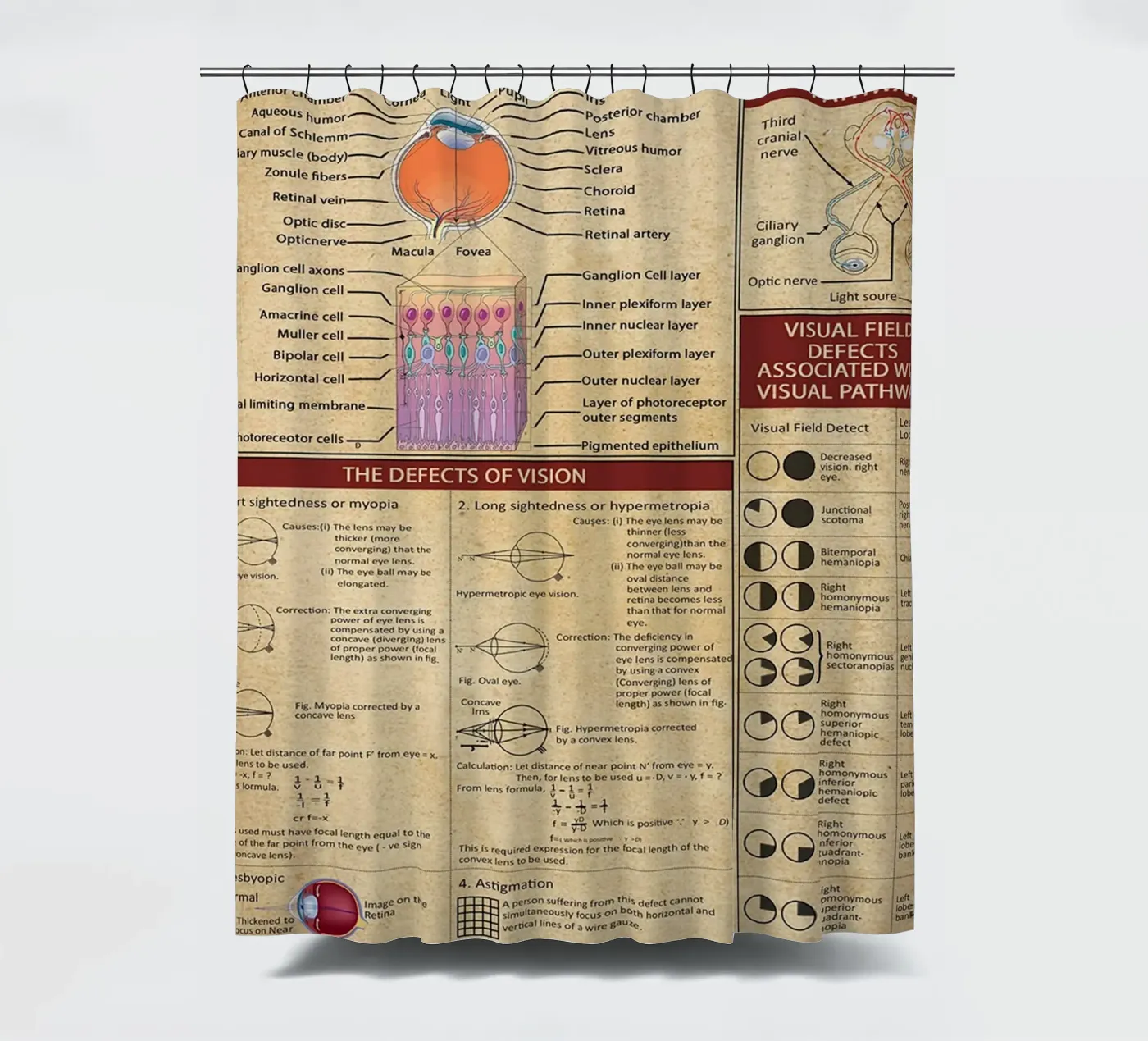 Optometry Knowledge Poster shower curtain by Maritiknowled