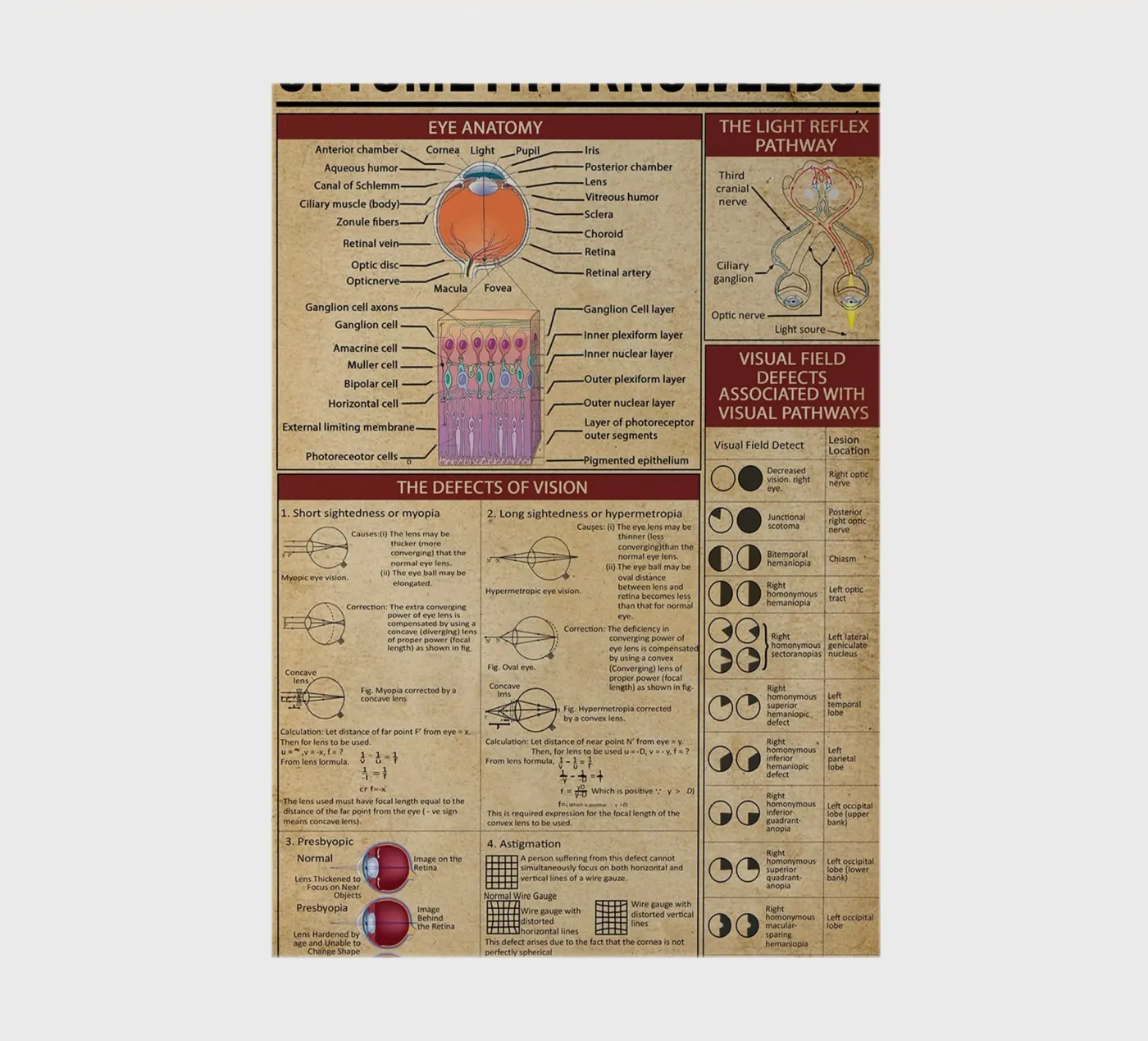Optometrie-Wissensposter Notizbuch von Maritiknowled