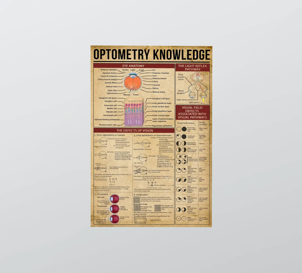 Optometrie Kennis Poster sticker van Maritiknowled