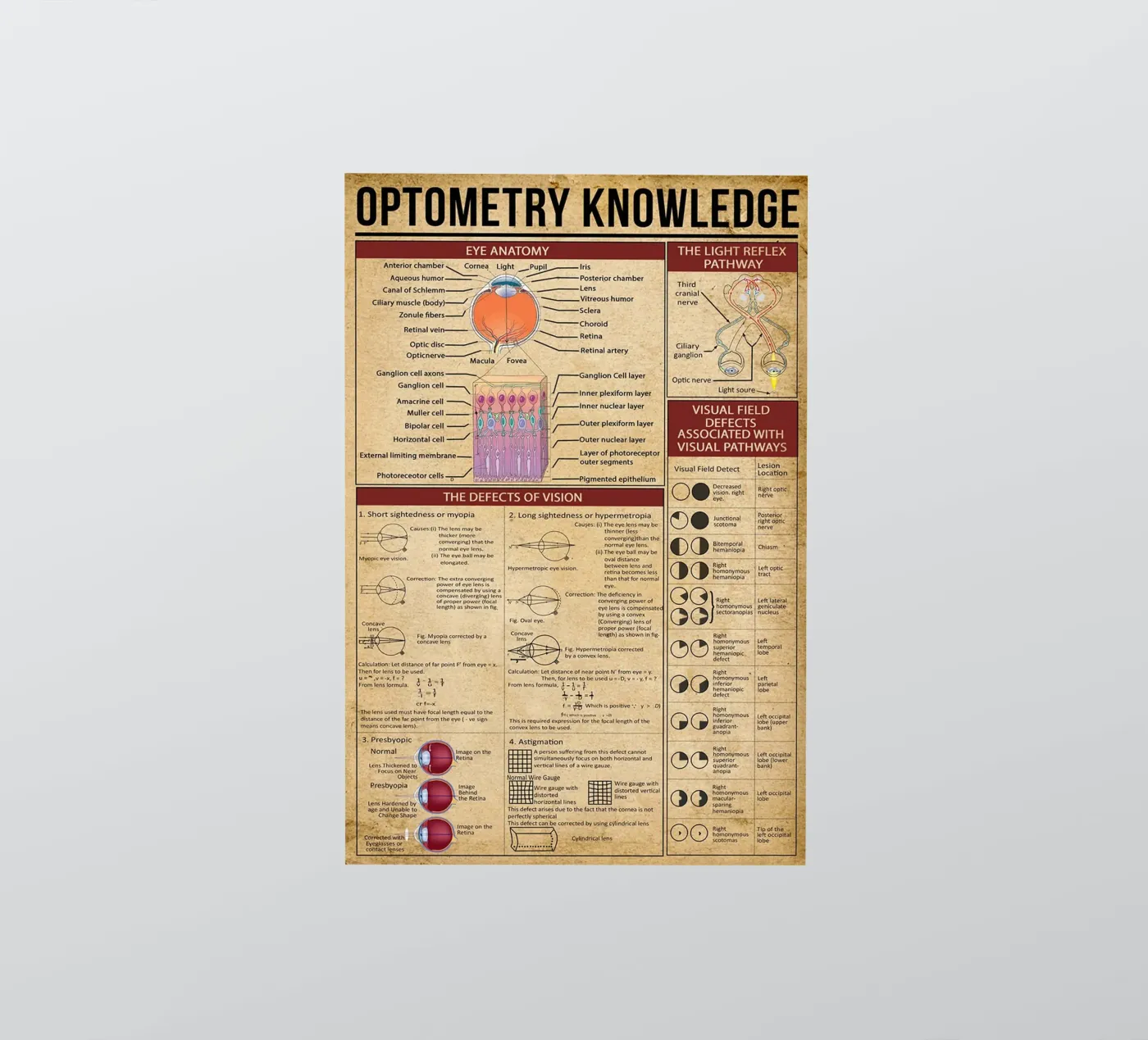 Poster sulla conoscenza dell'optometria adesivo da Maritiknowled