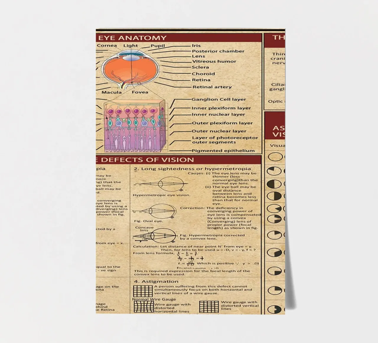 Optometry Knowledge Poster sticker sheet by Maritiknowled