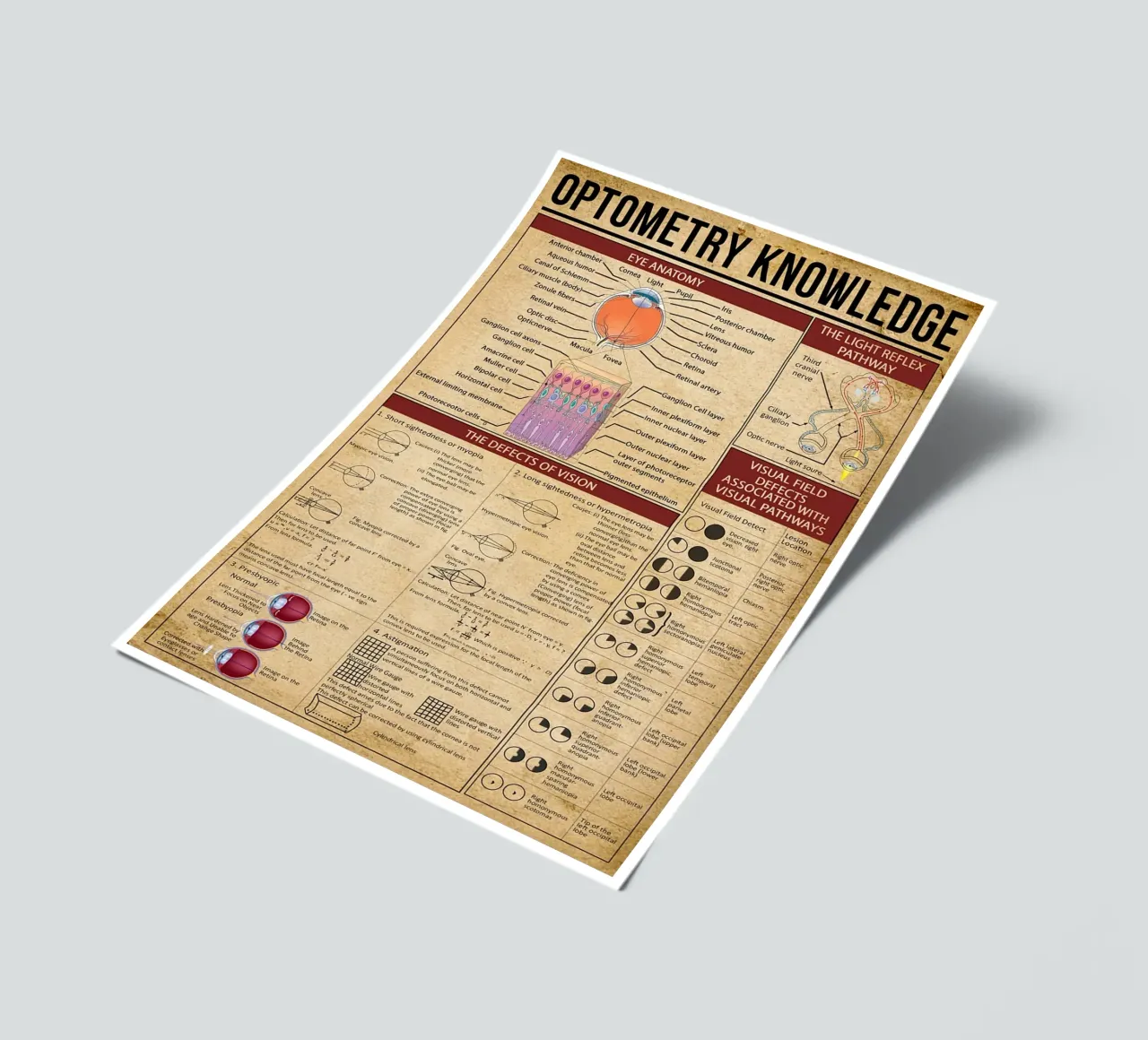 Optometry Knowledge Poster sticker sheet by Maritiknowled