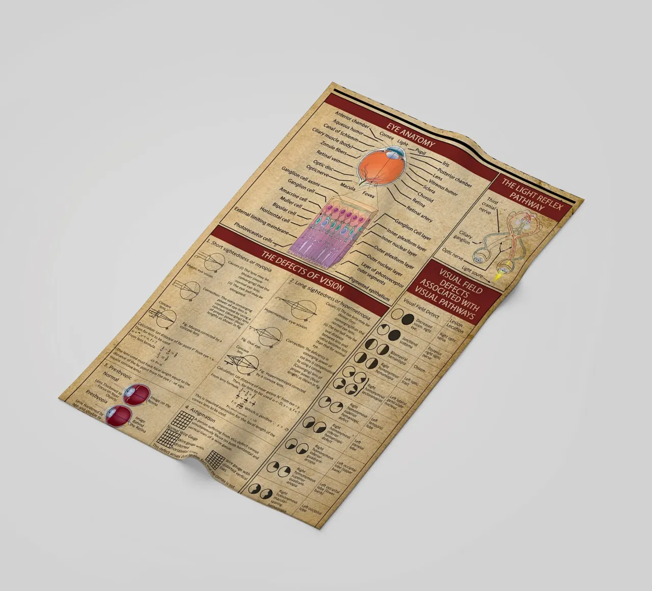 Poster sulla conoscenza dell'optometria telo mare da Maritiknowled