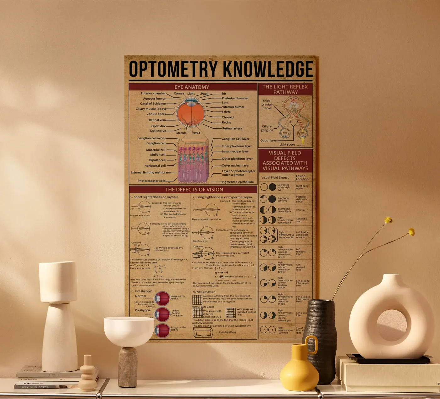 Poster sulla conoscenza dell'optometria plexiglass da Maritiknowled