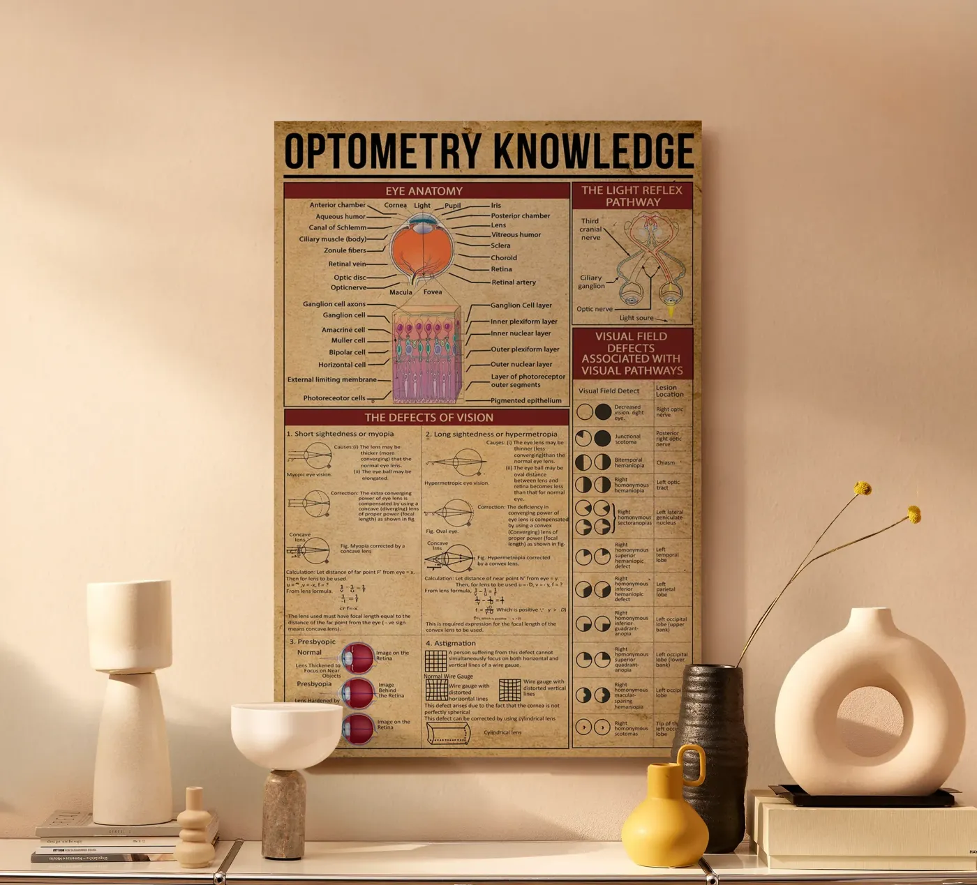 Optometrie Kennis Poster forex-plaat van Maritiknowled